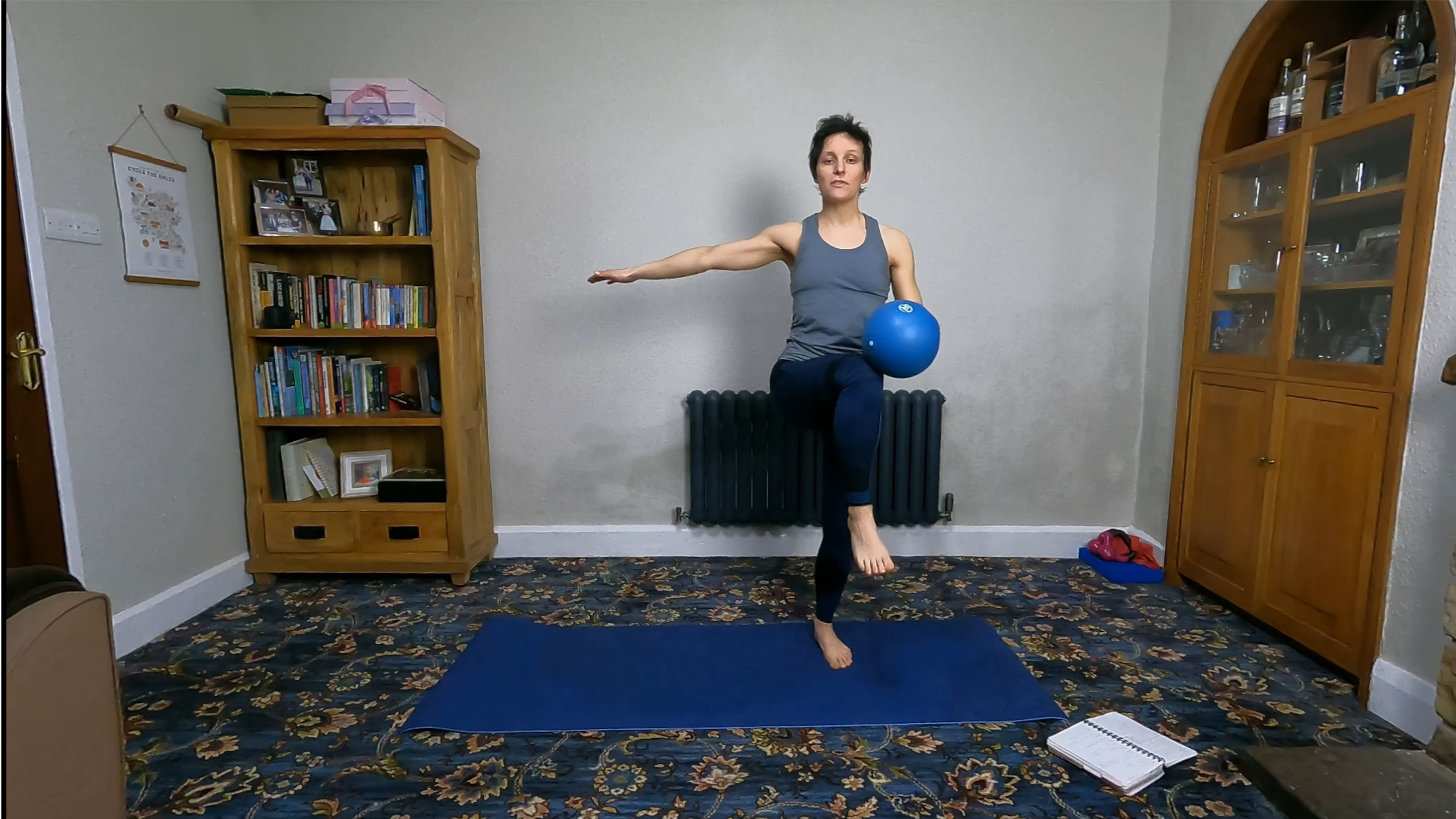 Level 1 Ball Class, with Beth