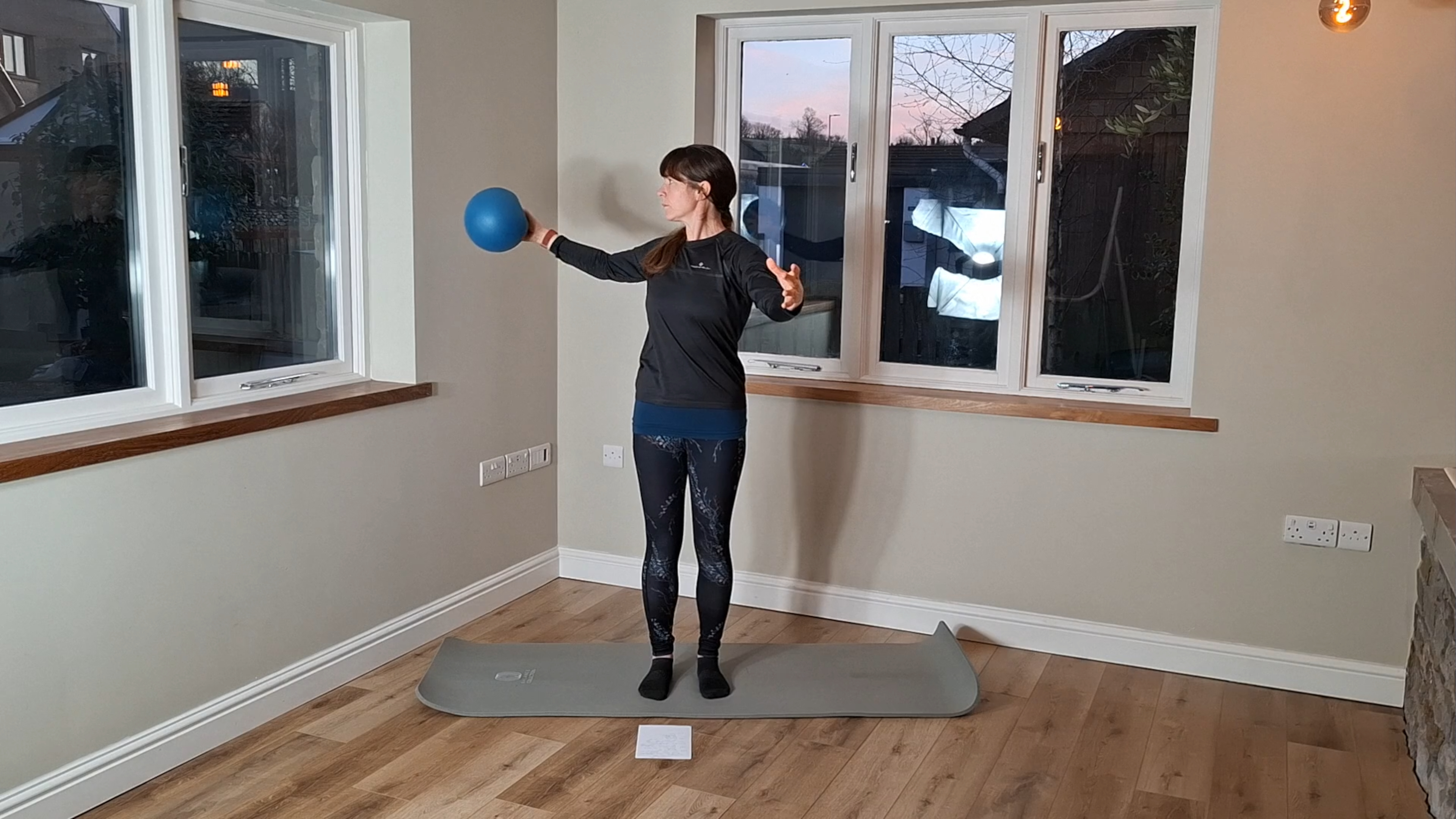 Level 1 Ball Class, with Kirsten