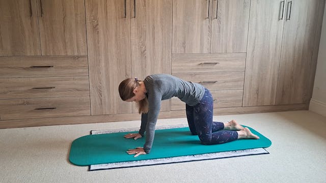 Level 1 Mat Class, with Jess