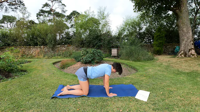 Level 2 Mat Class, with Beth