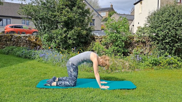Level 1 Mat Class, with Jess