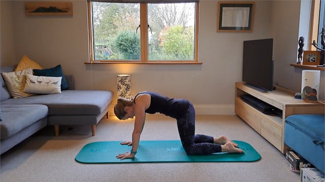 Level 3 Mat Class, with Jess