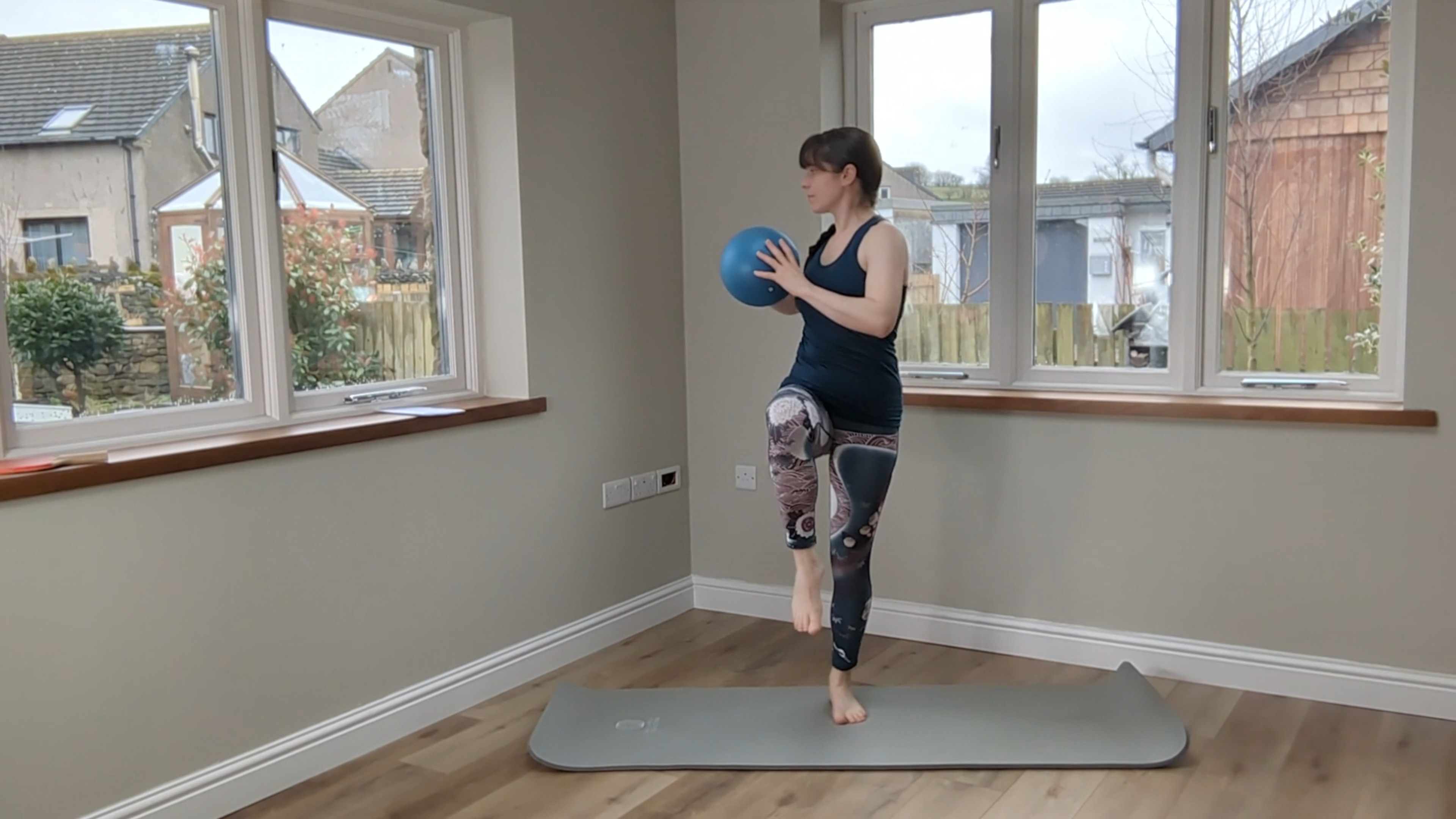 Level 3 Ball Class, with Kirsten