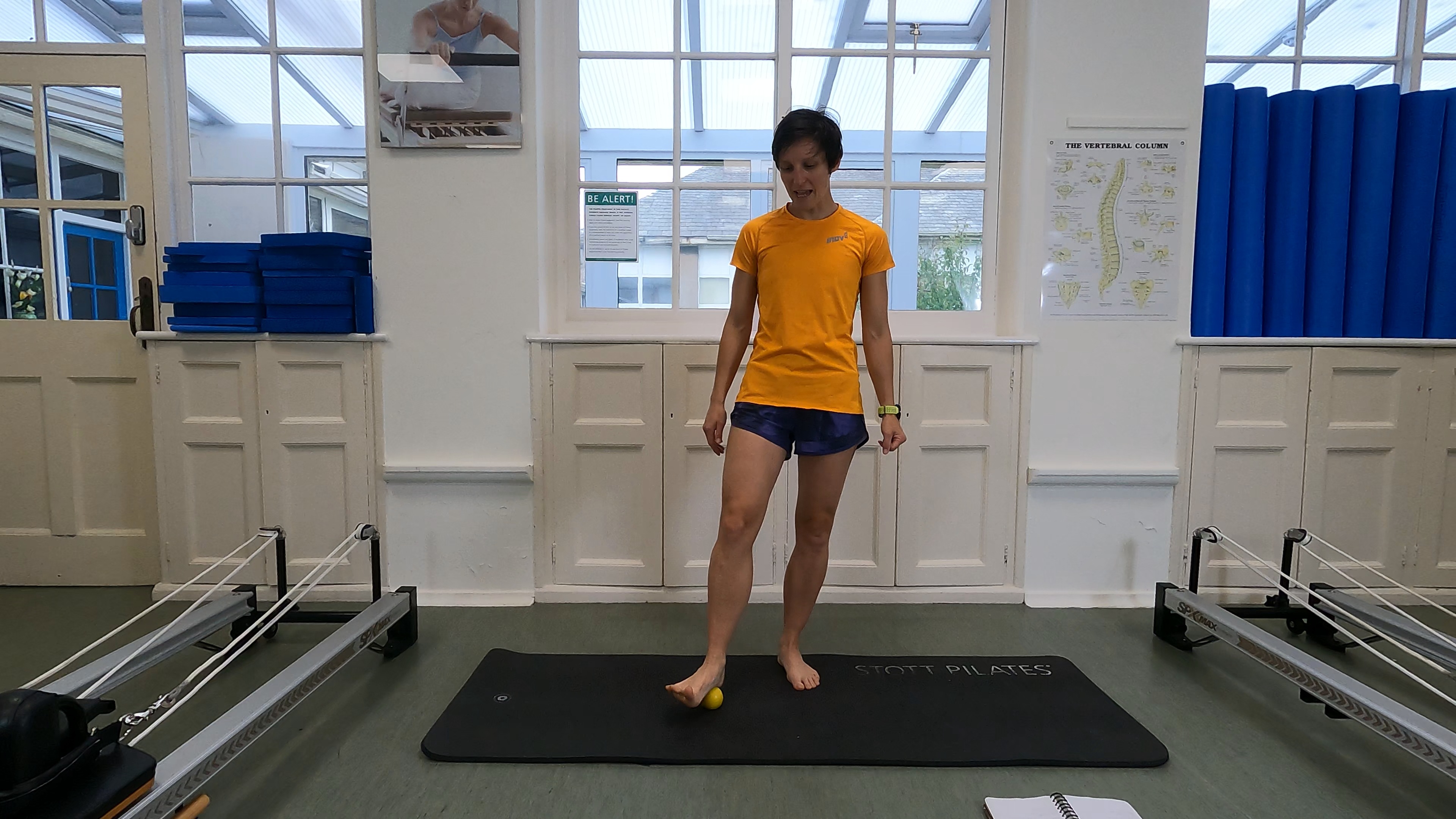 Level 3 Mat Class, with Beth