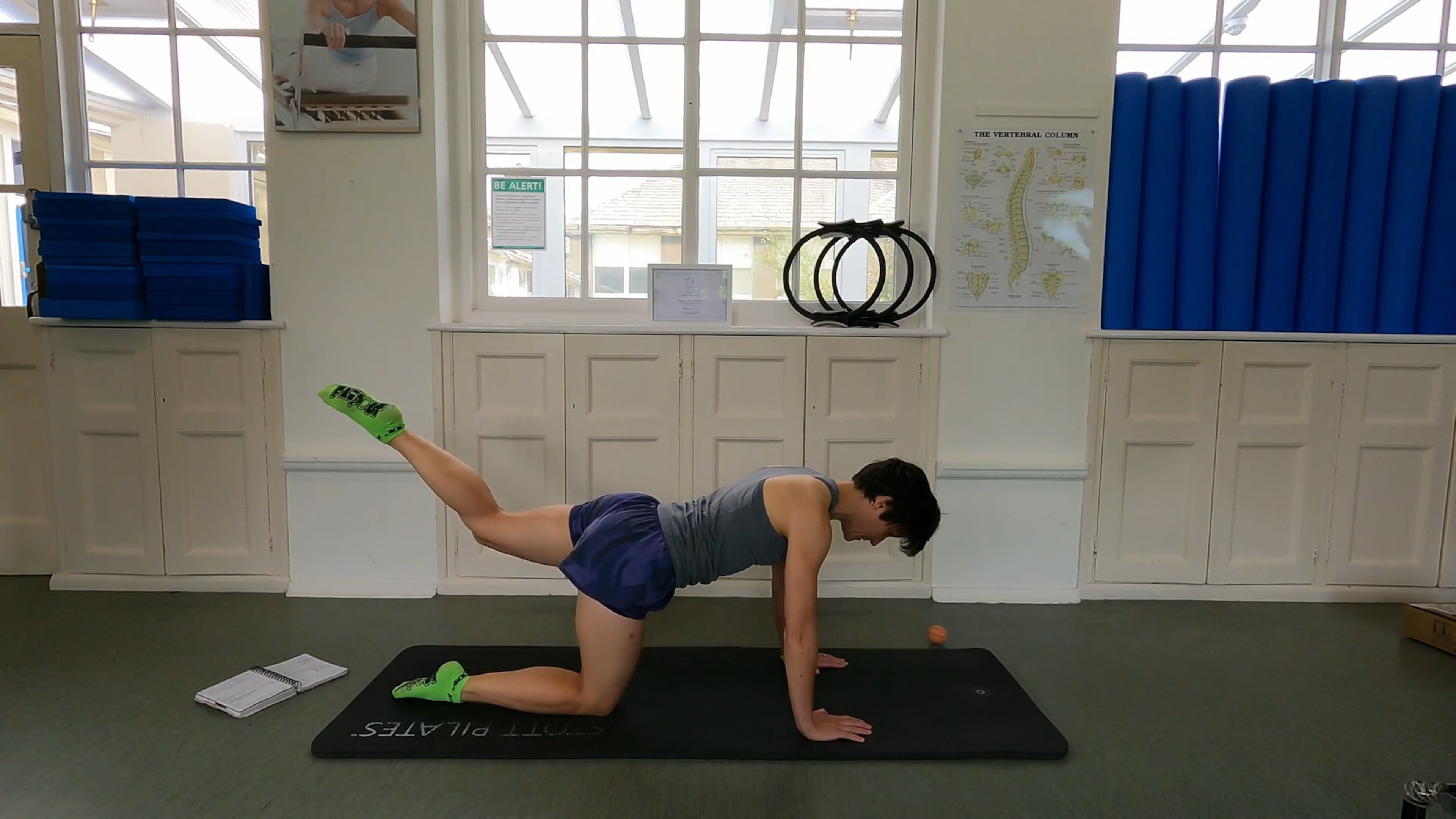 Level 1 Mat Class, with Beth