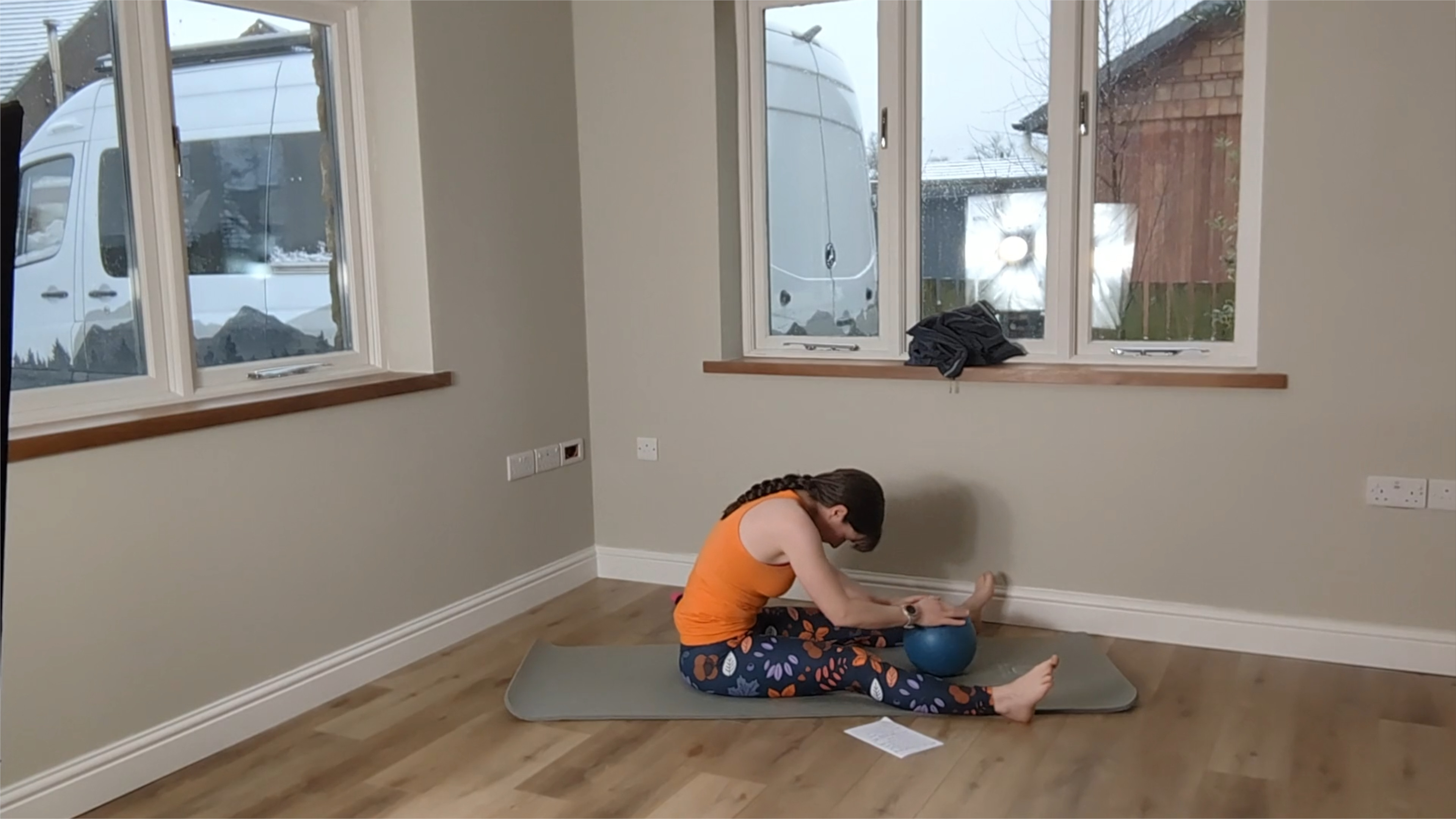 Level 2 Ball Class, with Kirsten