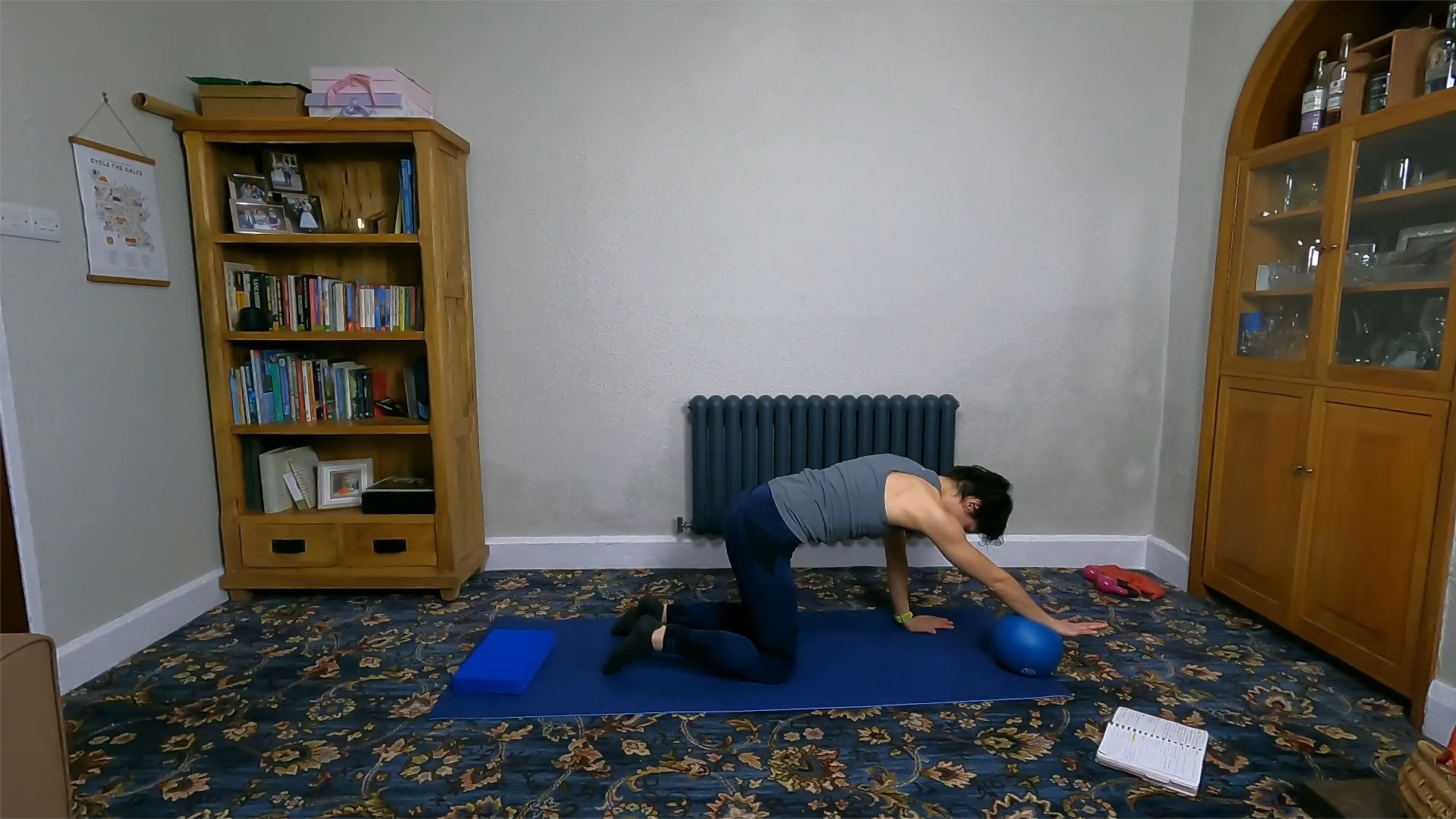 Level 2 Ball Class, with Beth