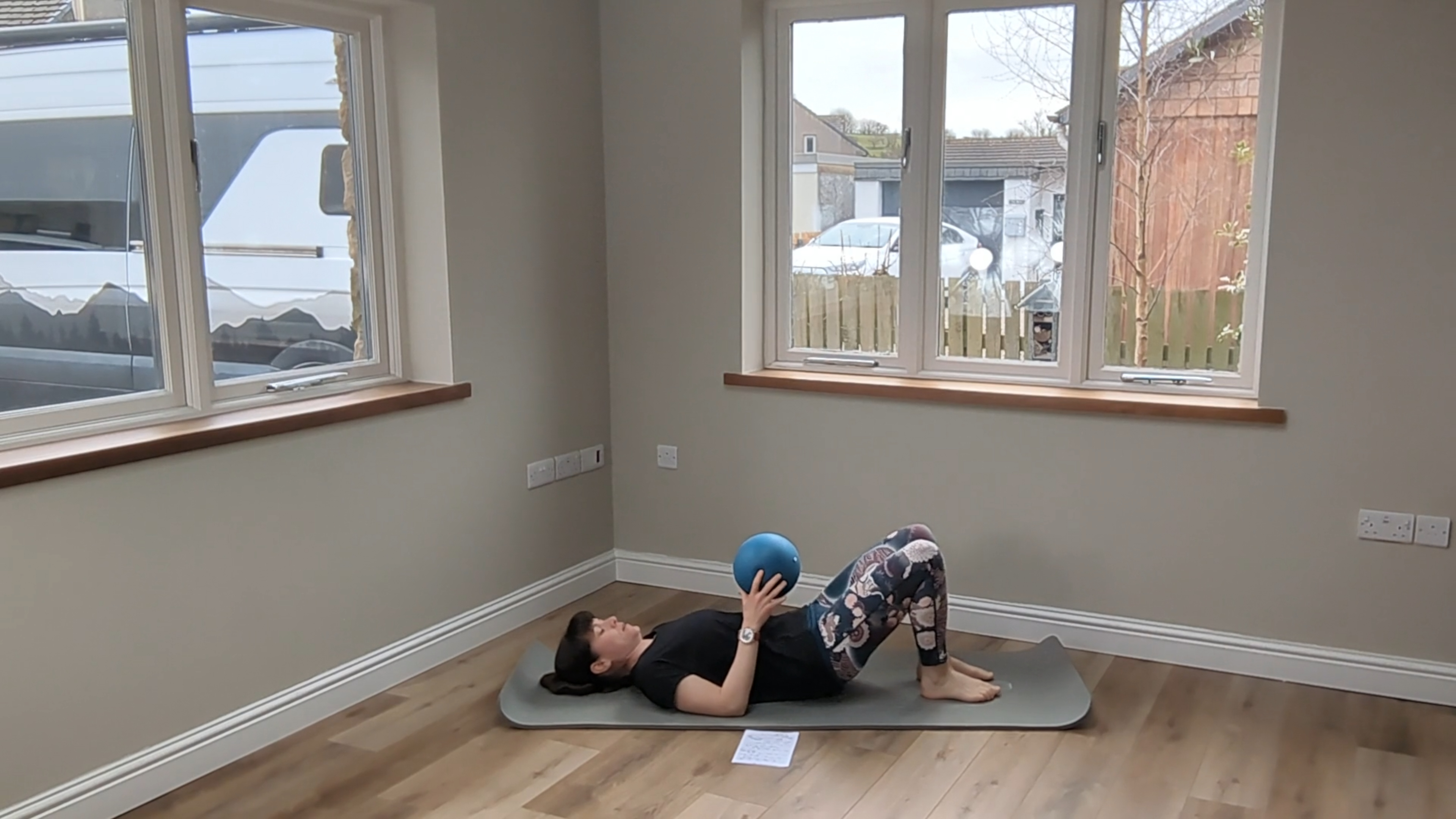 Level 2 Ball Class, with Kirsten