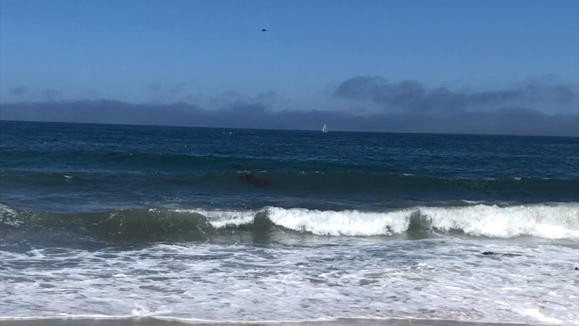 NEW | CALMNESS | WAVES