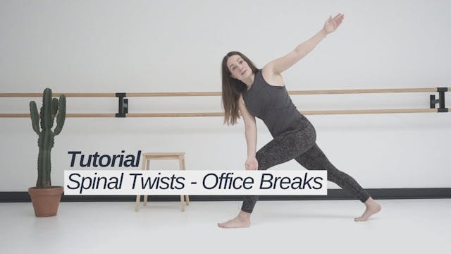 spinaltwists