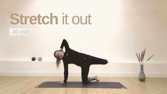 Stretching Dog - Full Body