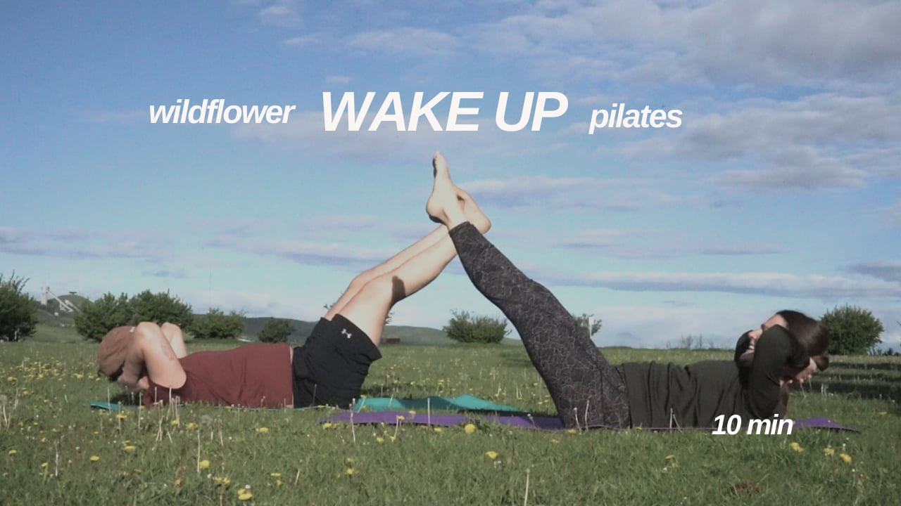 WildFlower Wake Up