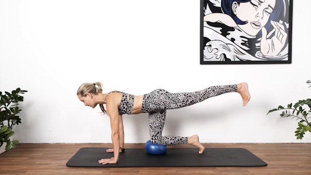 Pilates with Toys - Ball Advanced