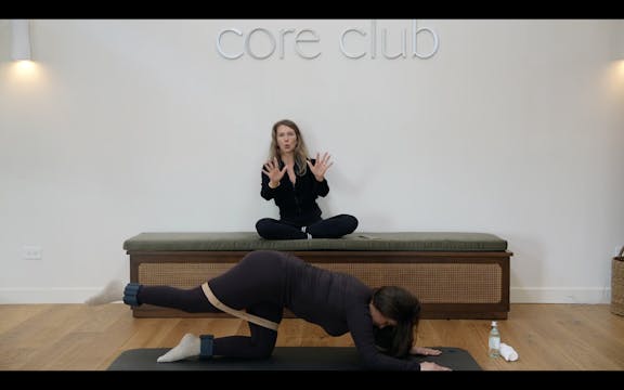 31 Min: Pt 2 Lower Body // Ankle Weig...