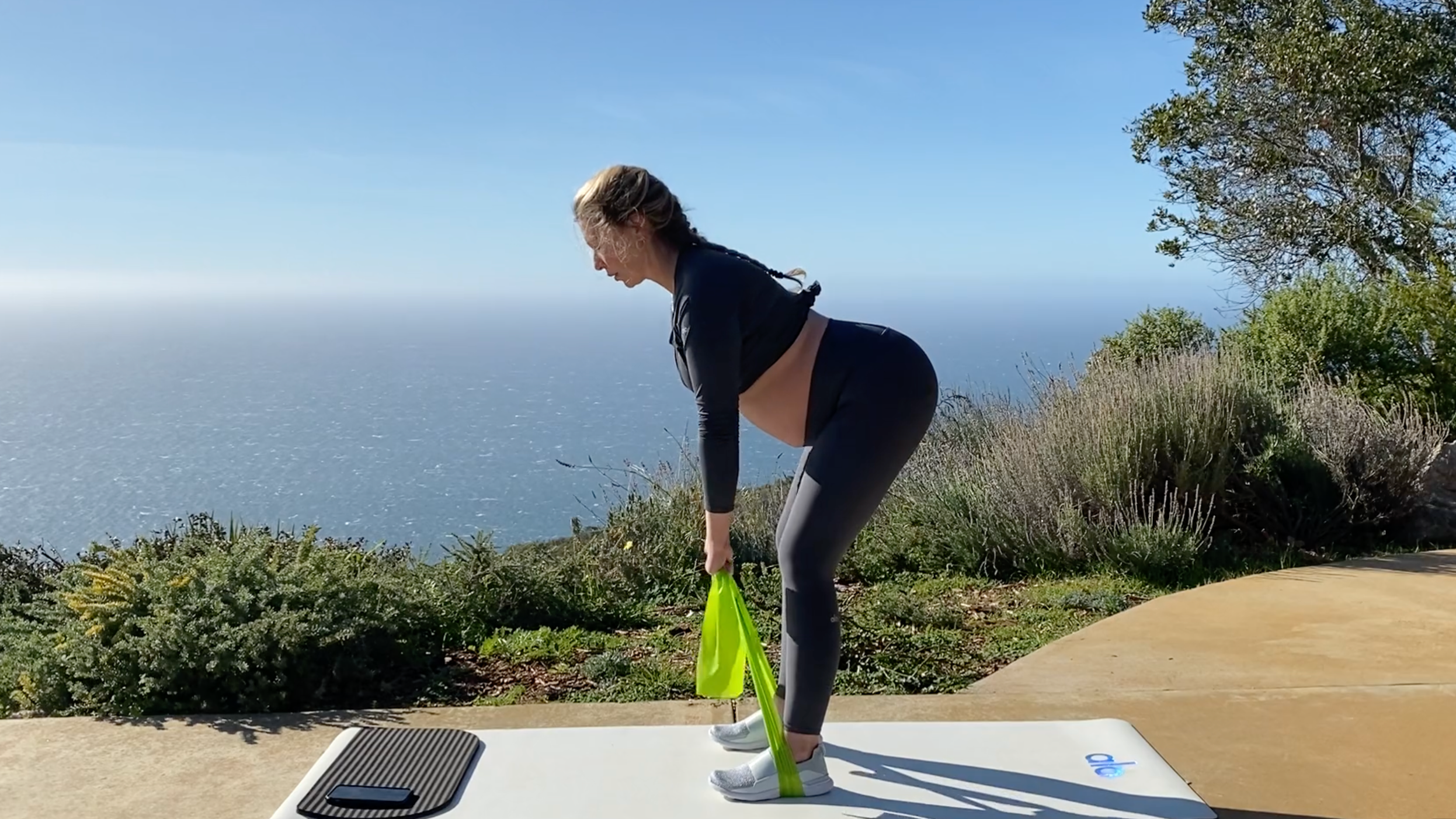 Workout 2: Theraband Arms & Glutes