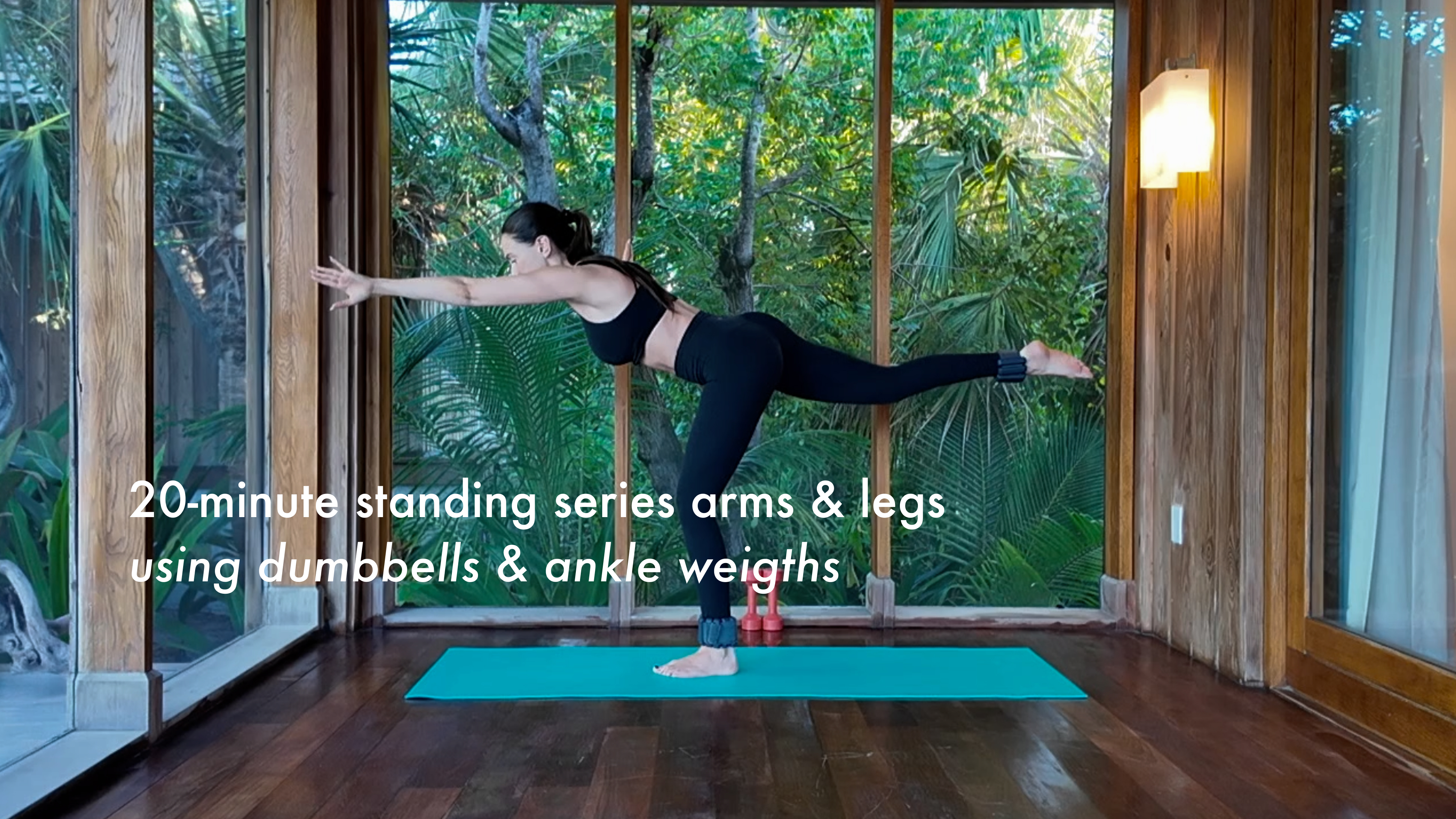 NEW: 20-minute standing series arms & legs using dumbbells & ankle weights