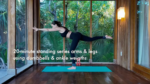 NEW: 20-minute standing series arms &...
