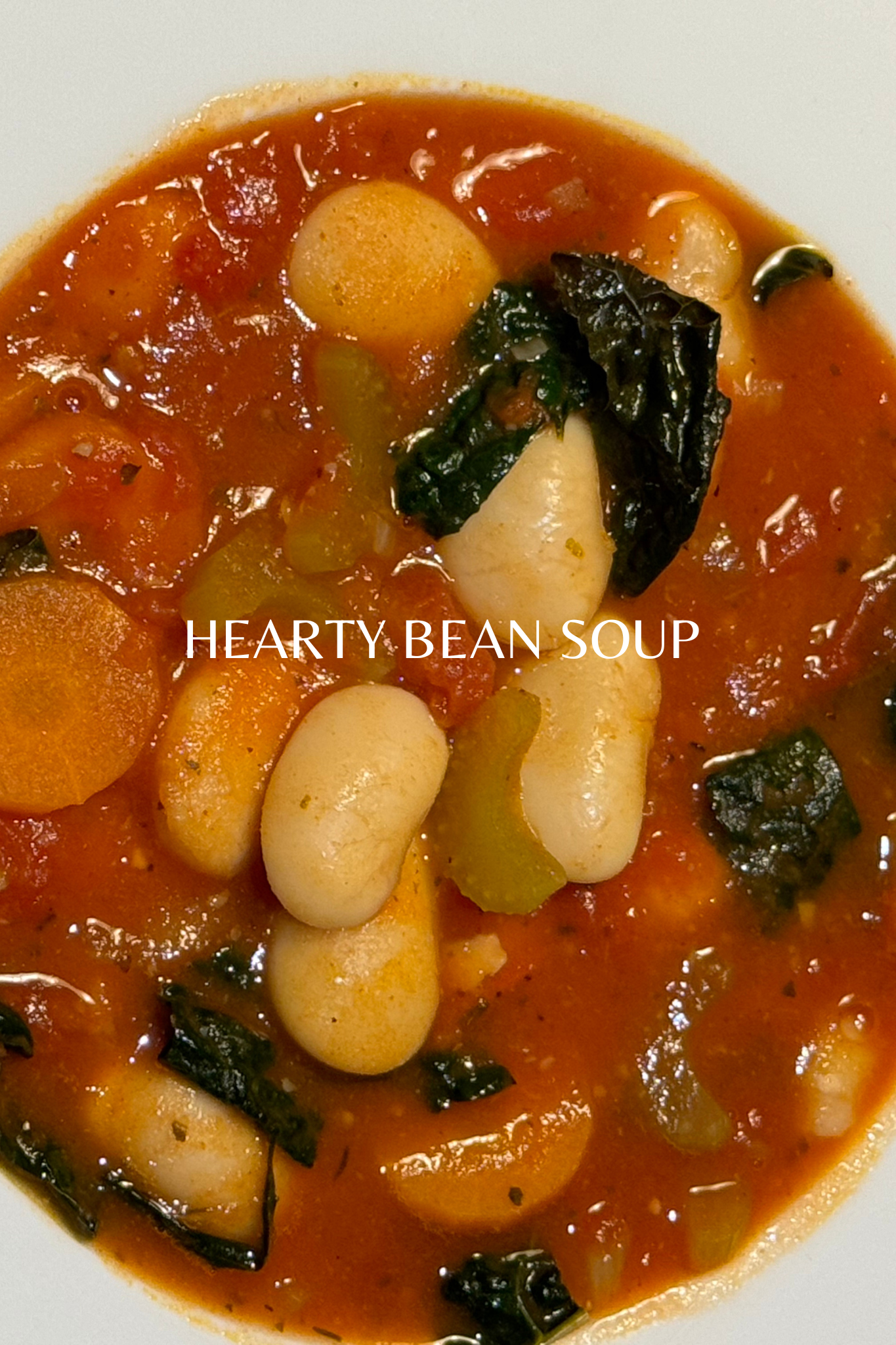 Hearty Bean Soup