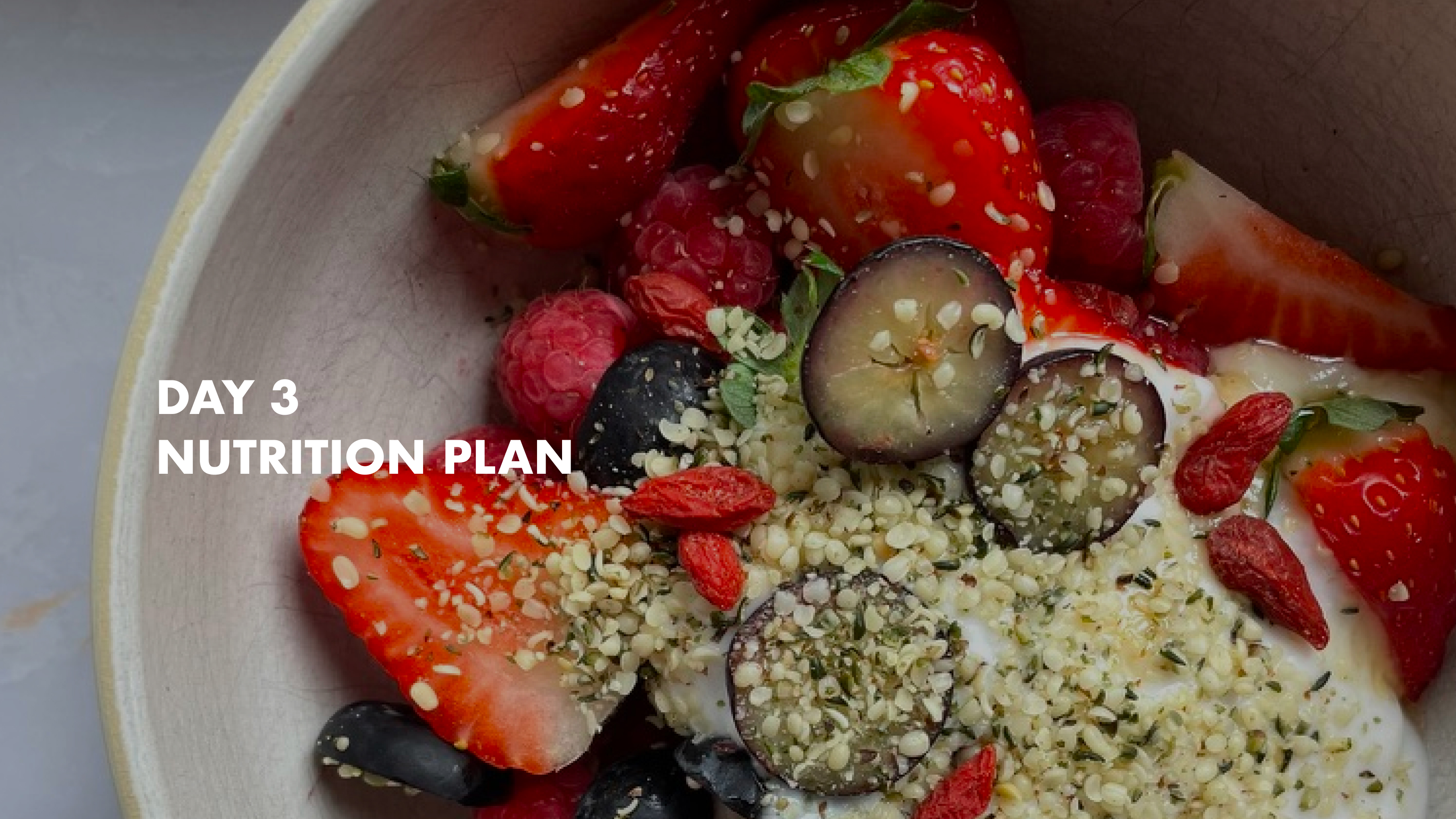 DAY 3 - Nutrition Plan