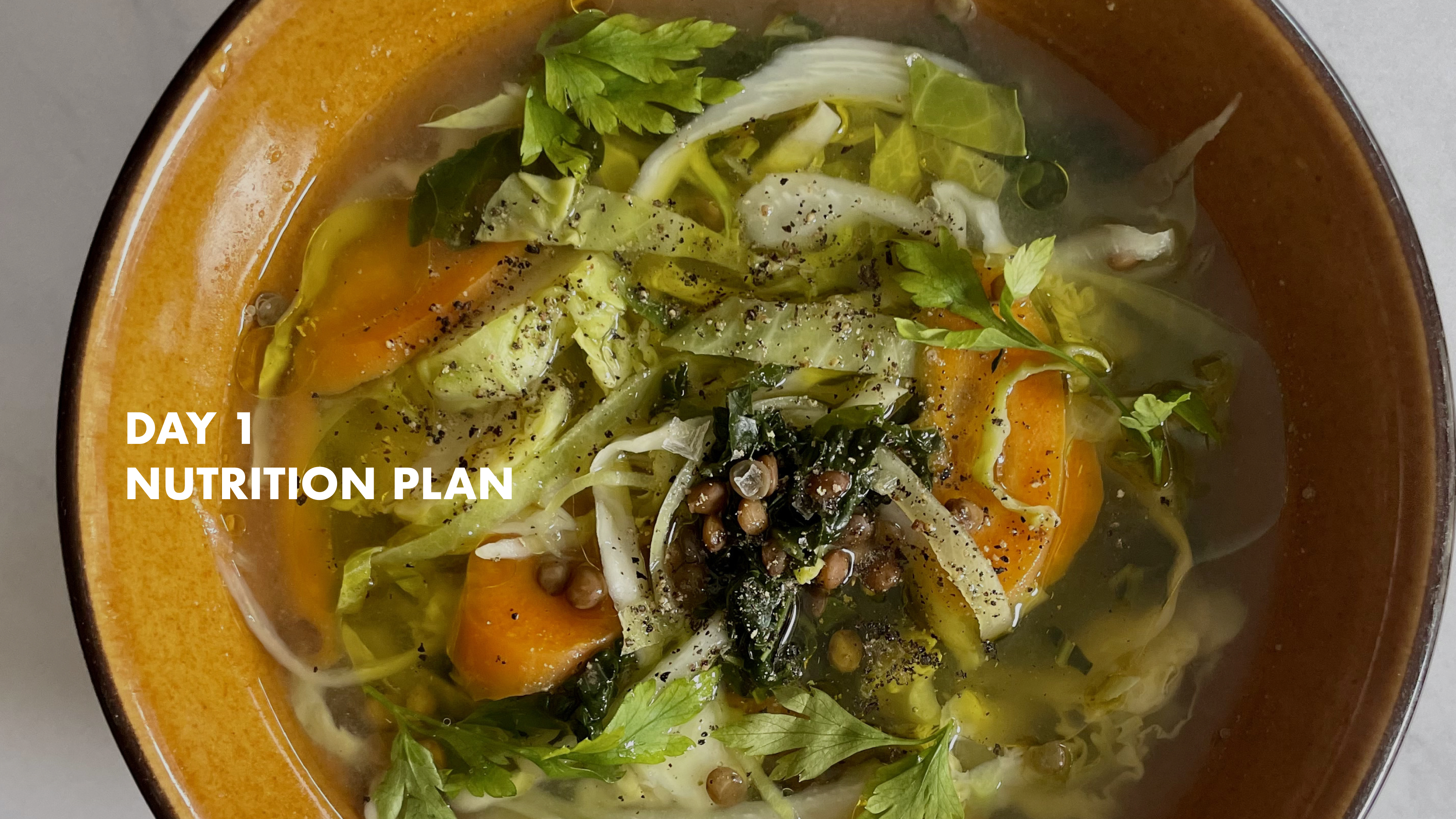 DAY 1 - Nutrition Plan
