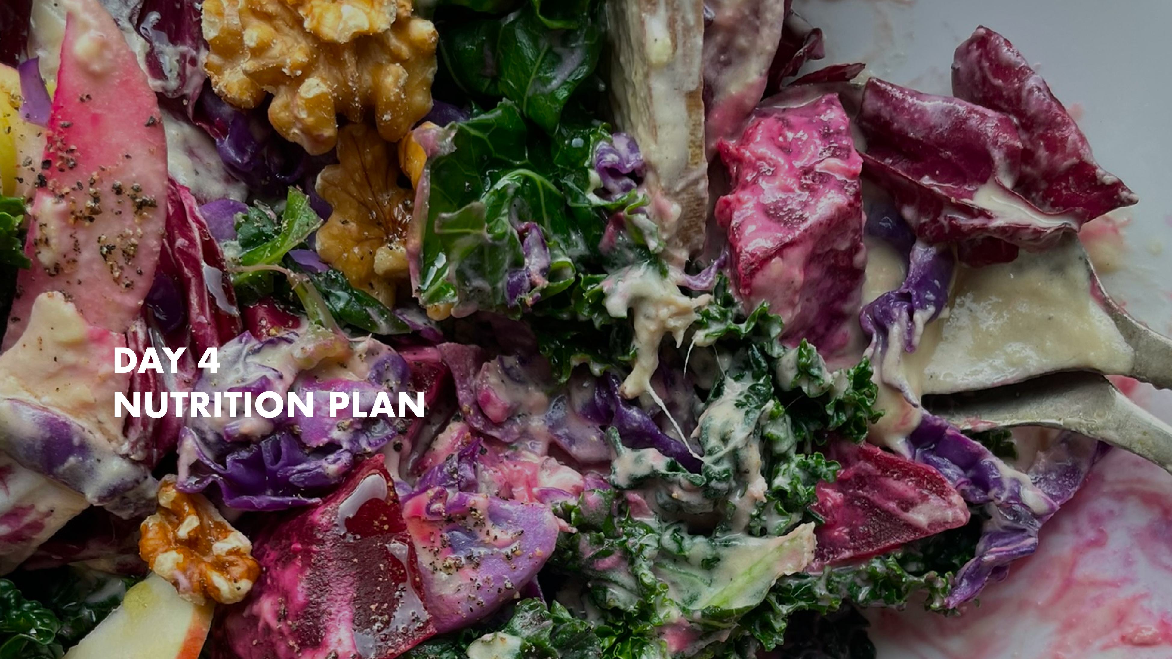 DAY 4 - Nutrition Plan