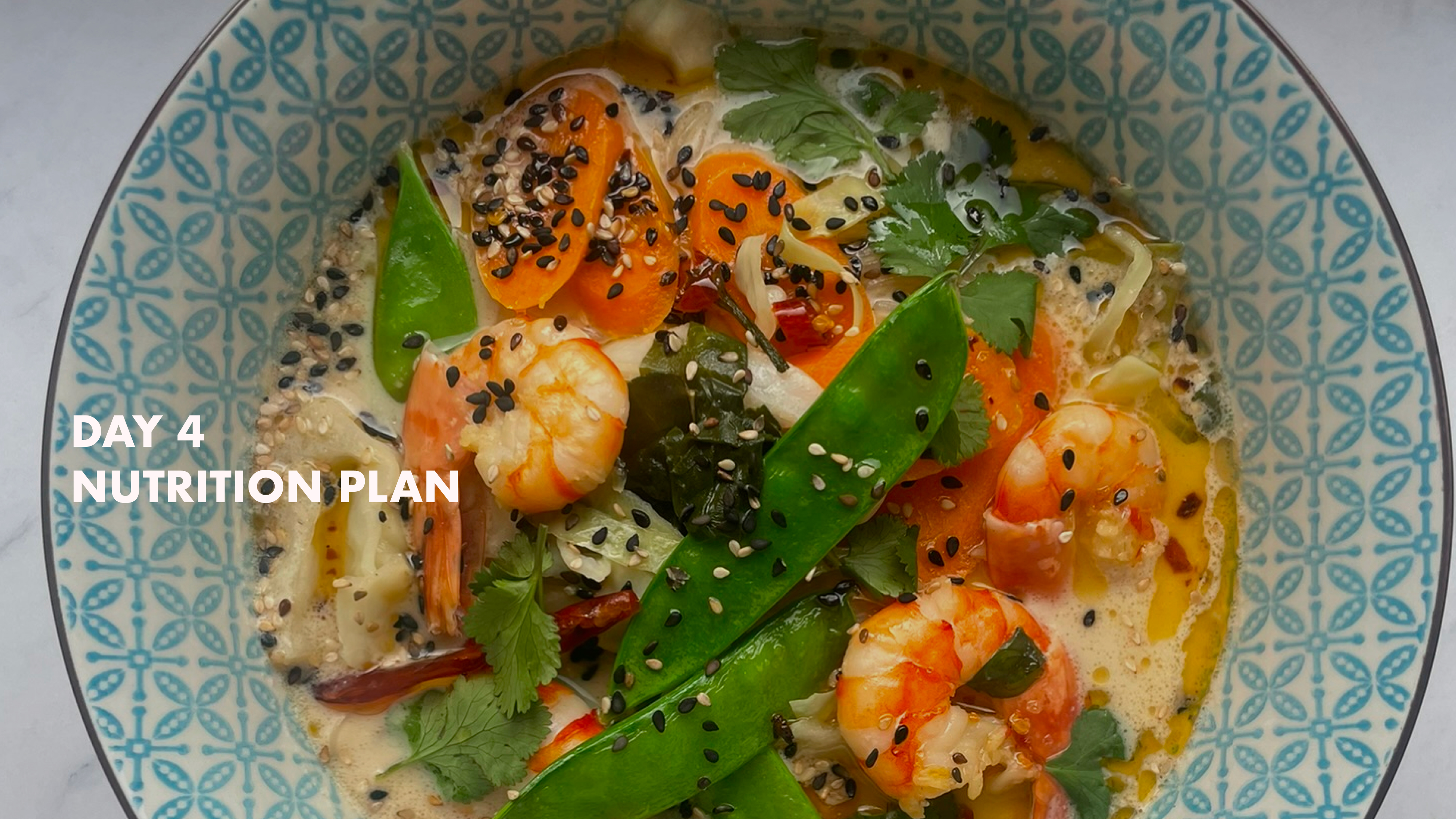 DAY 4 - Nutrition Plan
