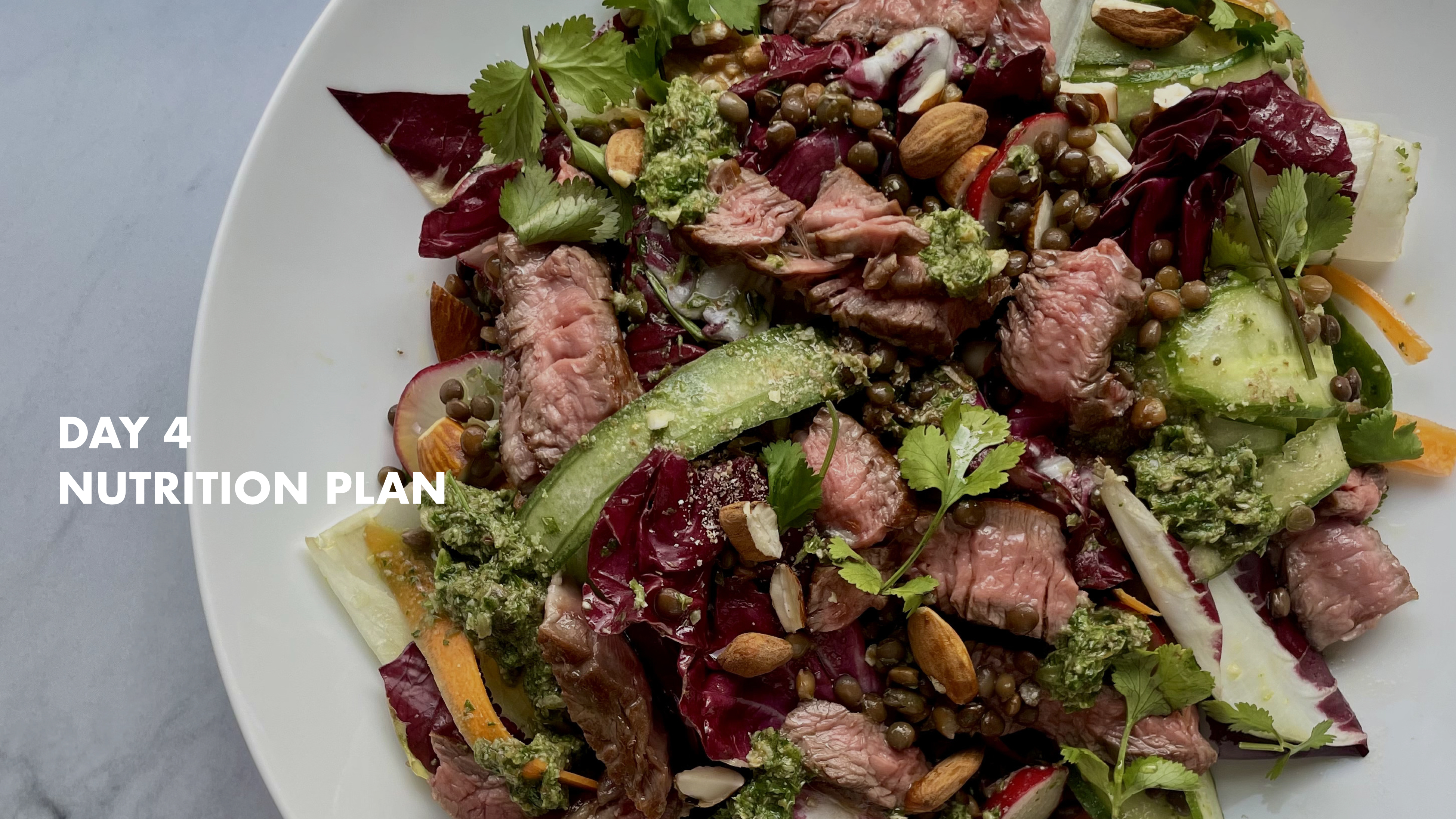 DAY 4 - Nutrition Plan