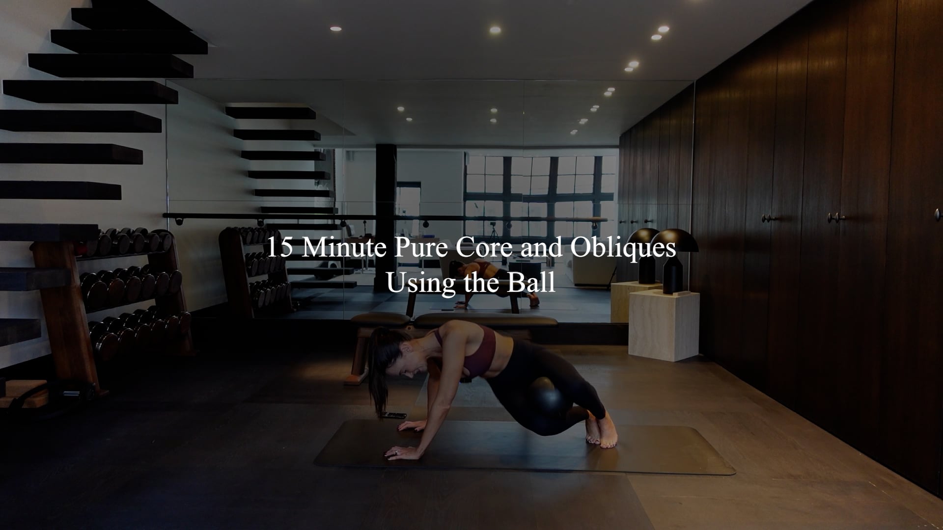 15 minute pure core and obliques using the ball