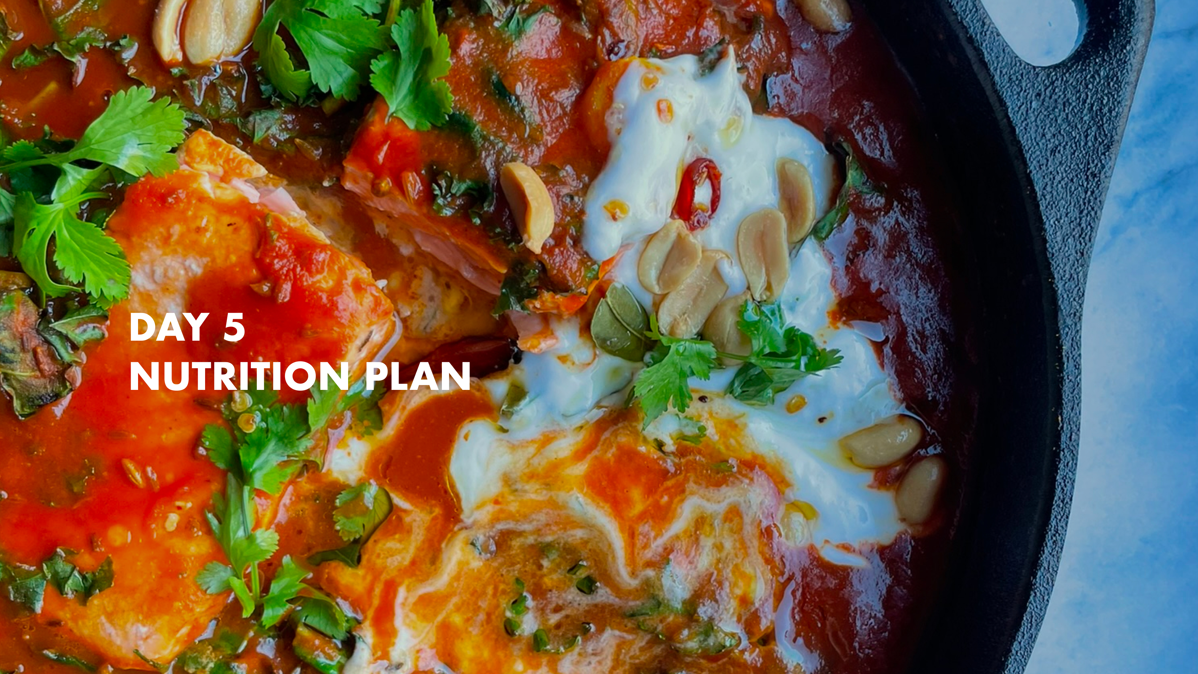 DAY 5 - Nutrition Plan