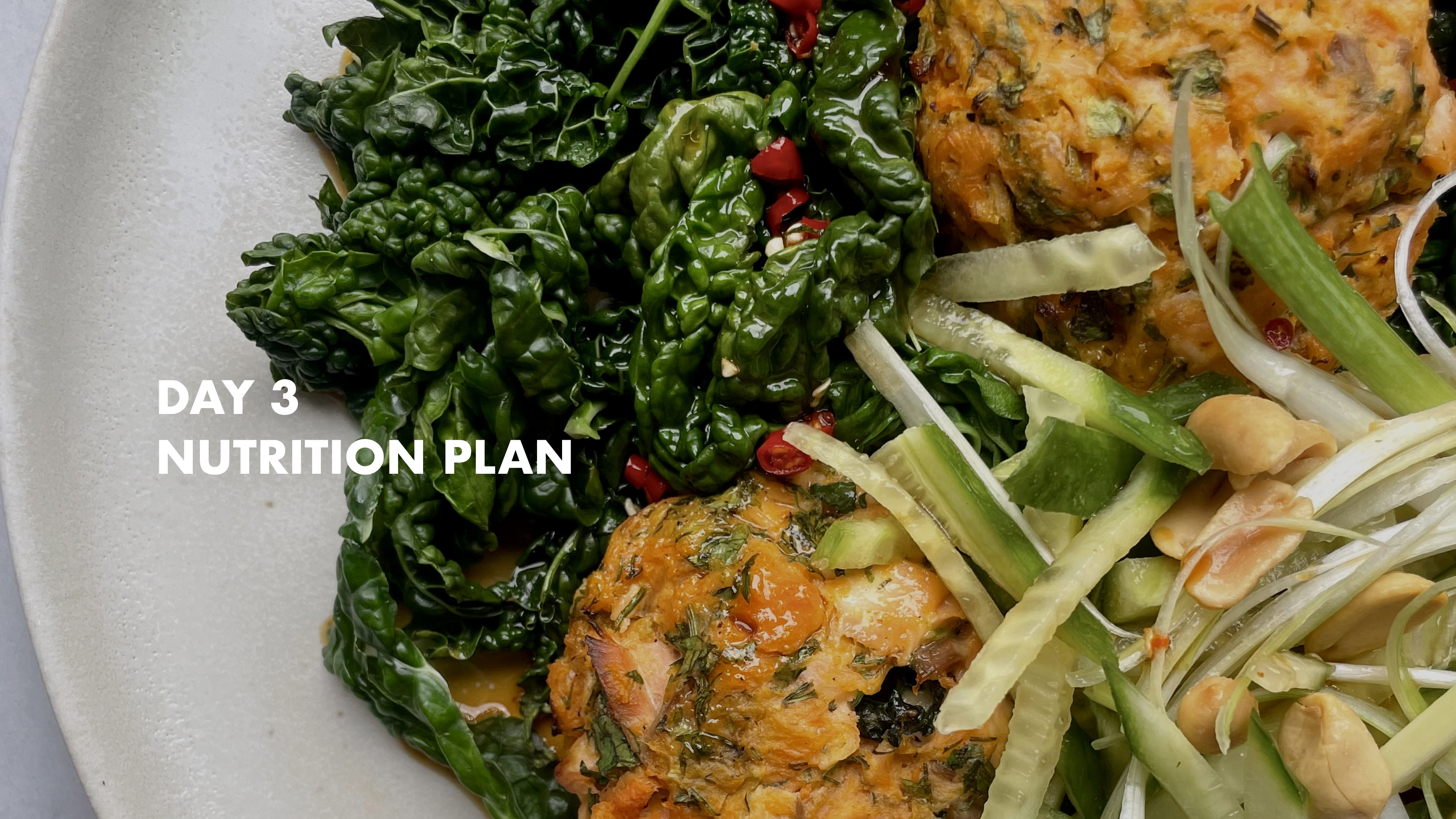DAY 3 - Nutrition Plan