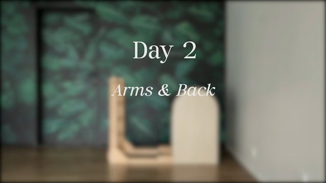 Day 2 - Arms & Back