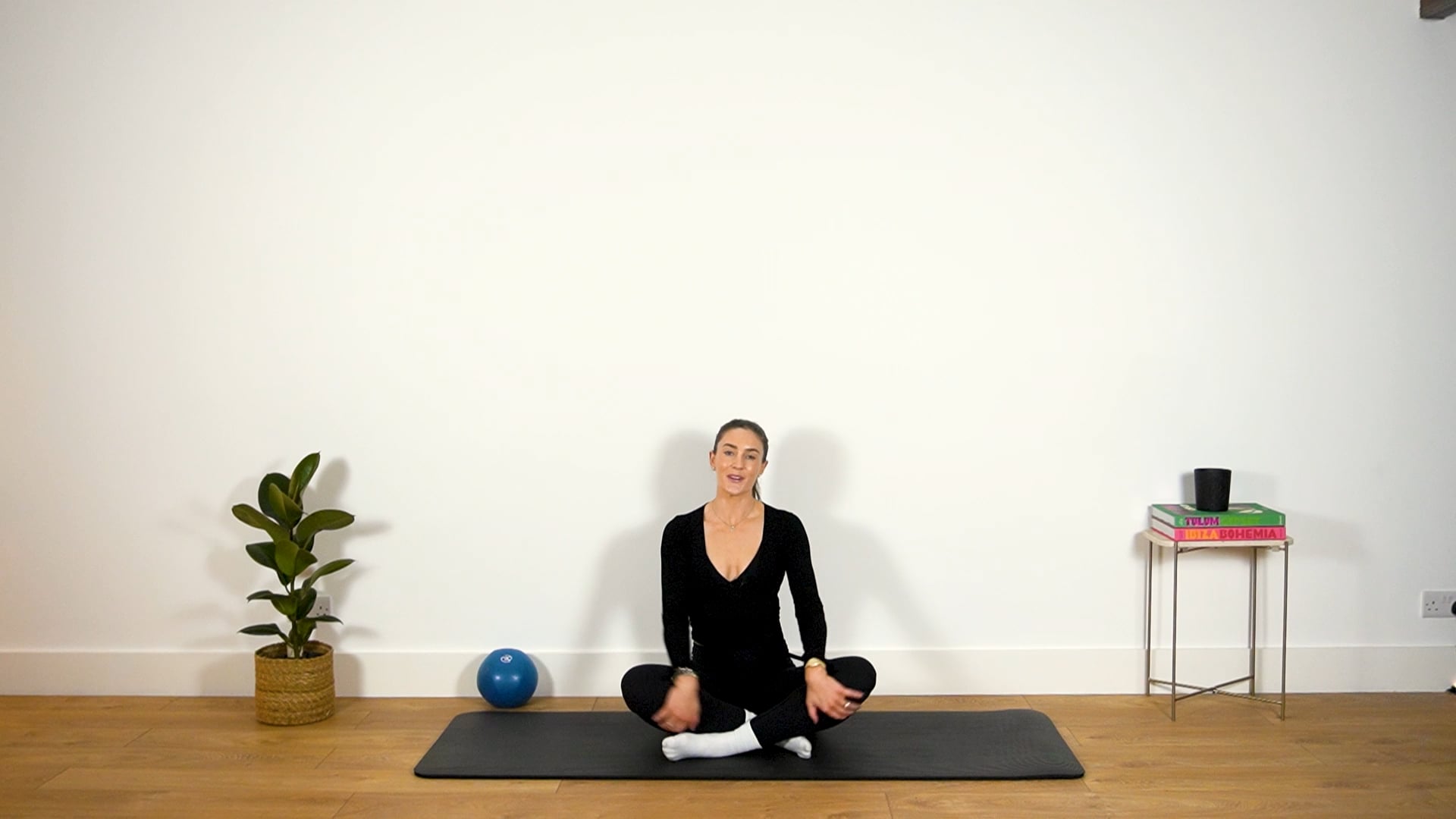 20 Min Ball Full Body