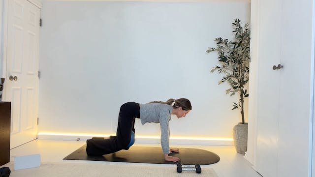 15 min Deep Core & Lengthening Princi...