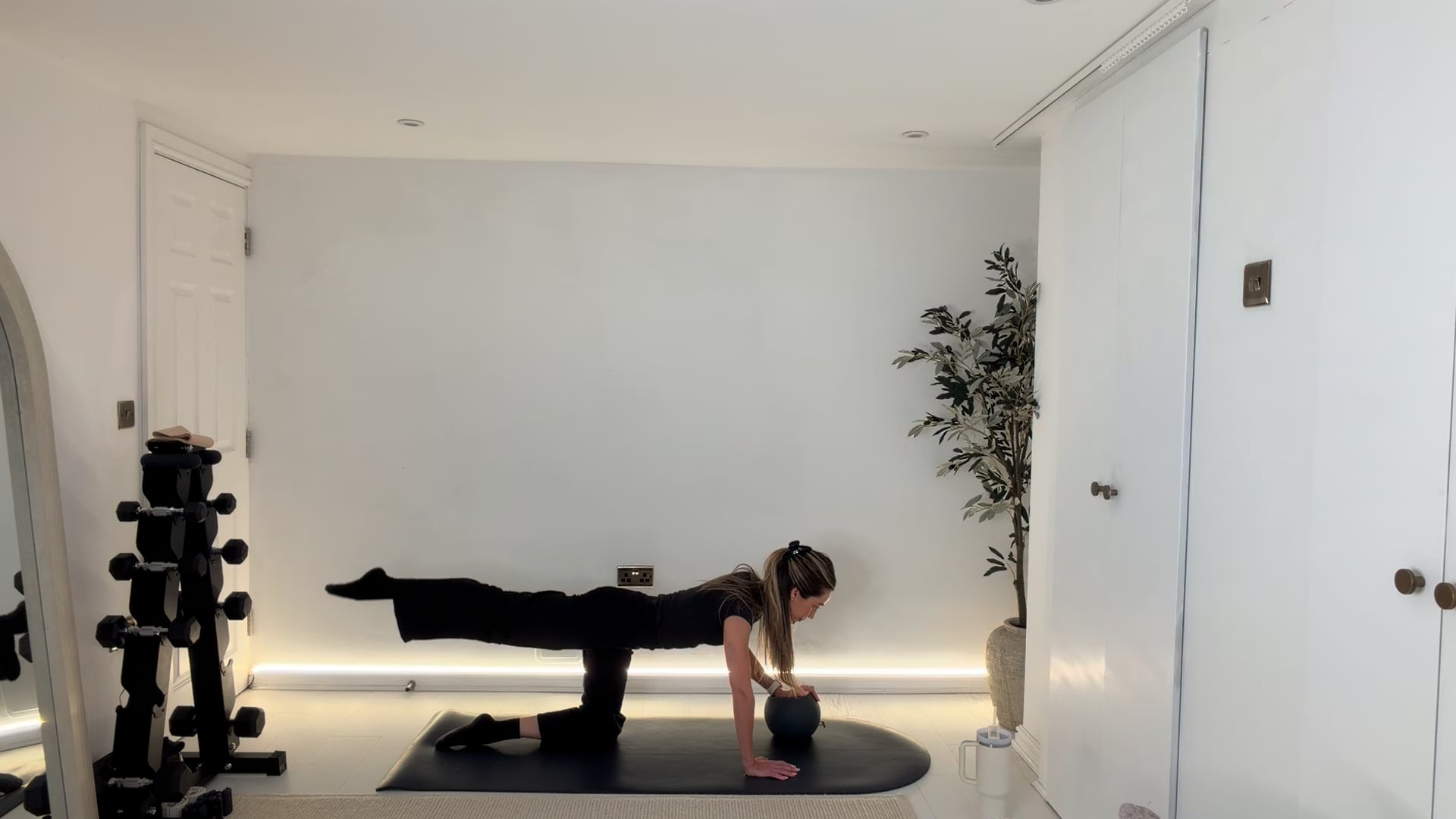 40 min Anywhere Full Body with Optional Ball