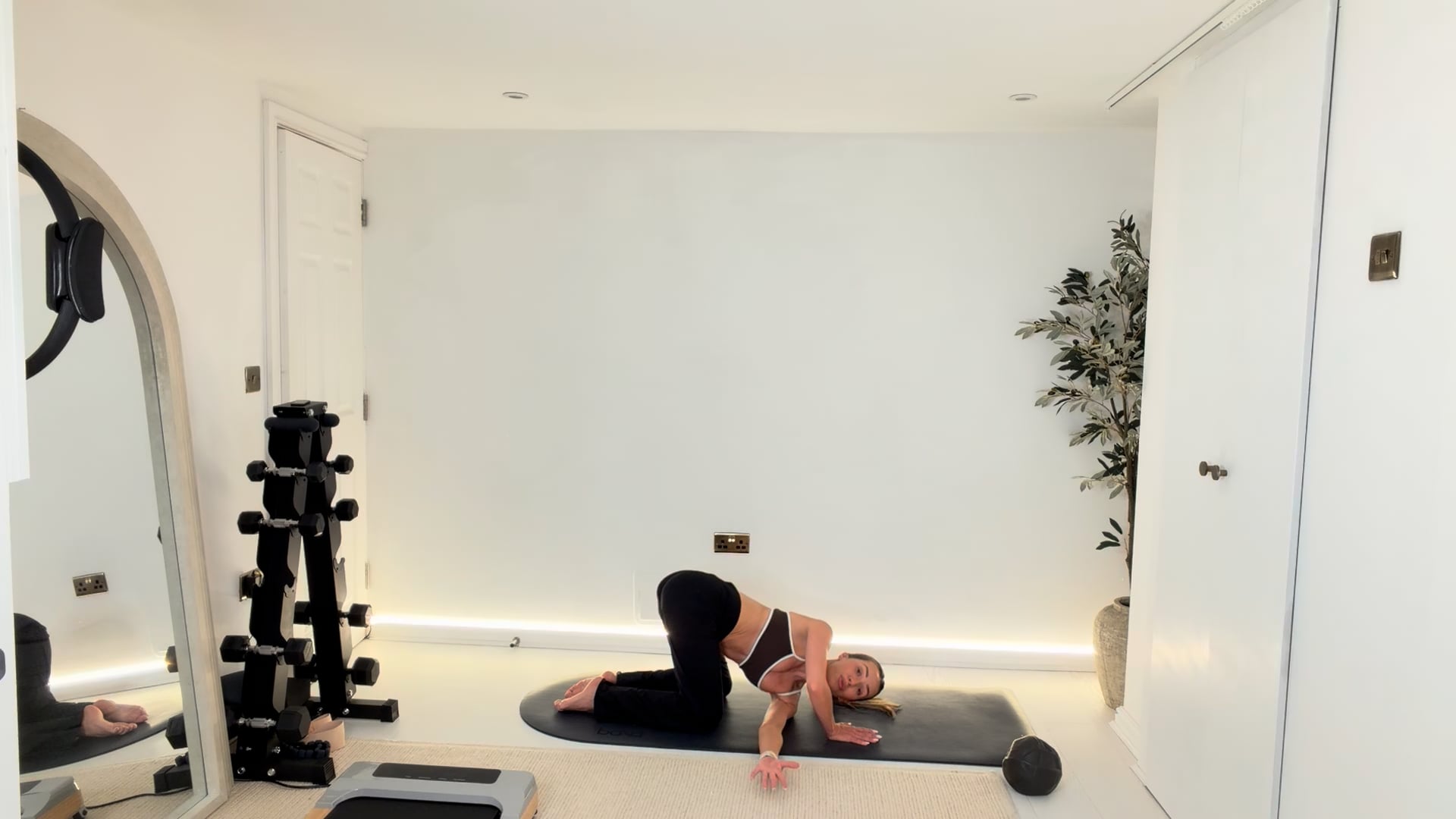 NEW 20 min Ultimate Core with Ball & Ankle Weights