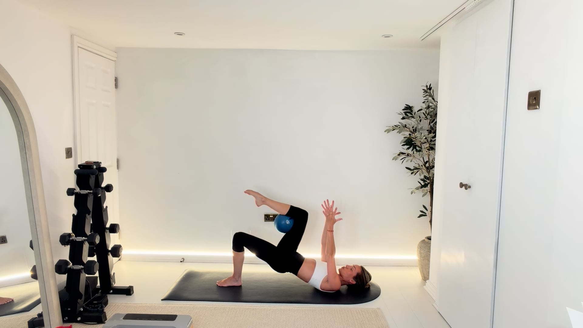 30 min Anywhere Full Body class with ball