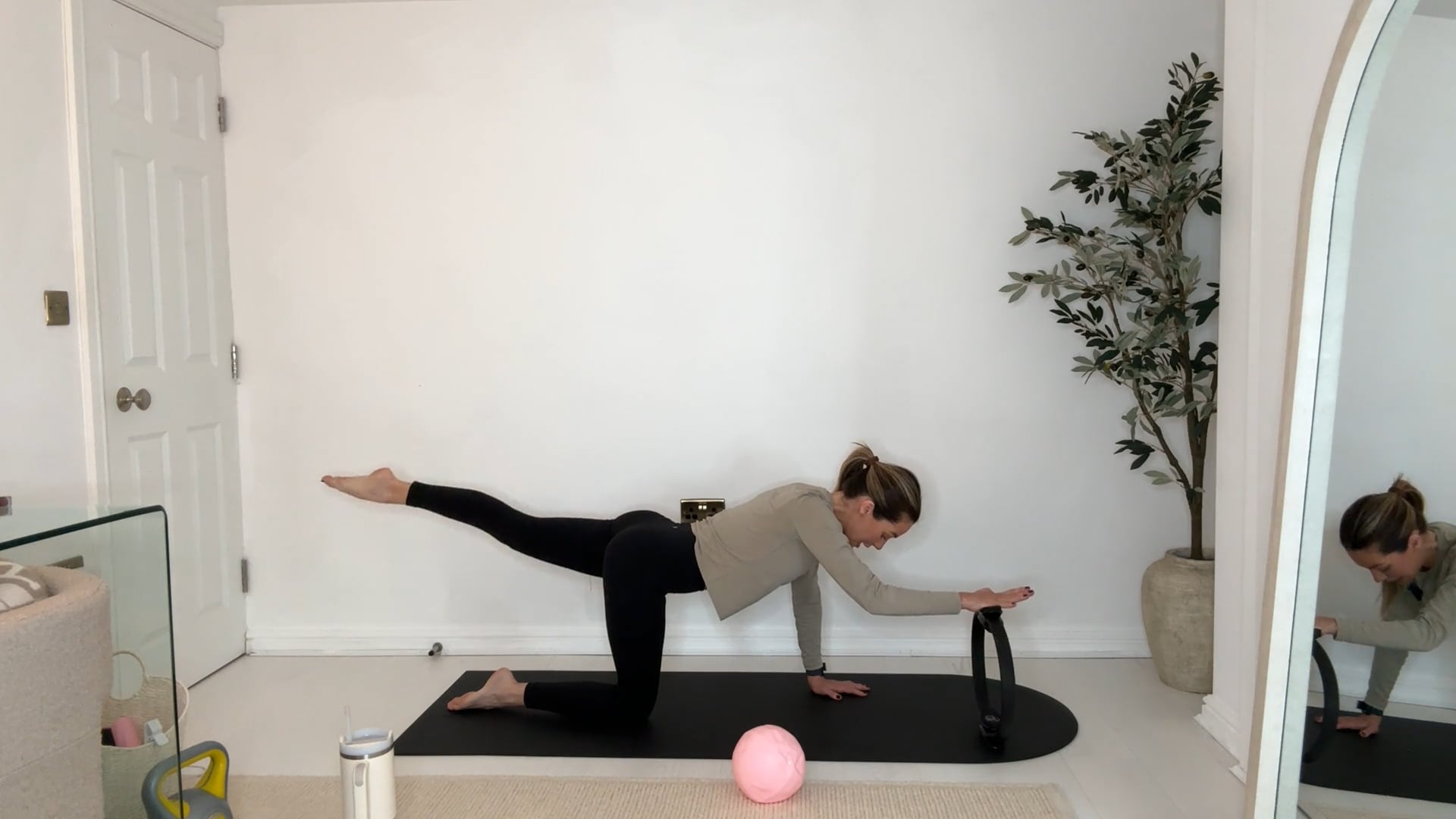 20 min core, booty & inner thigh class with ball & ring