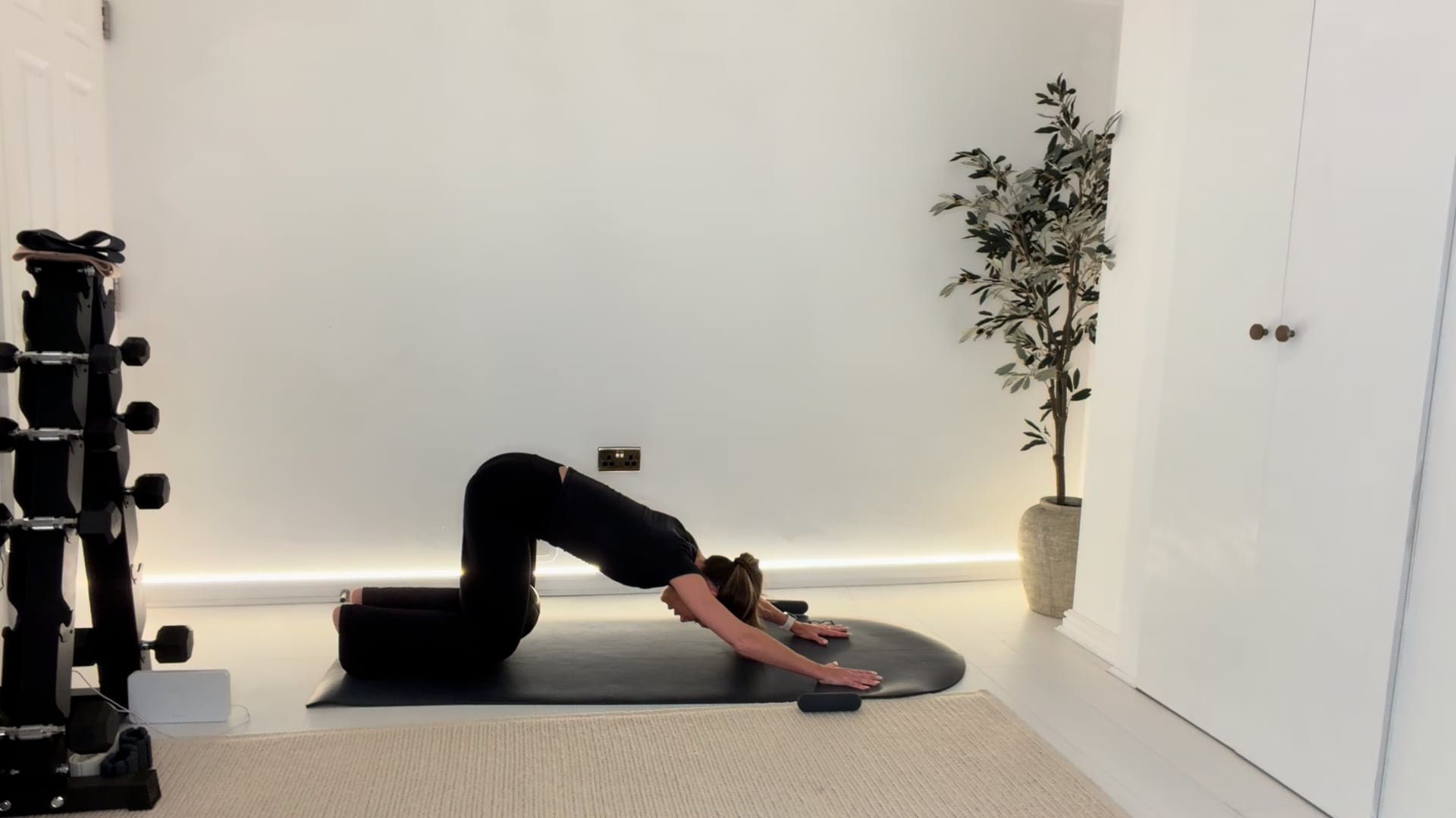 NEW 20 min Classic Core with Ball & optional hand weights