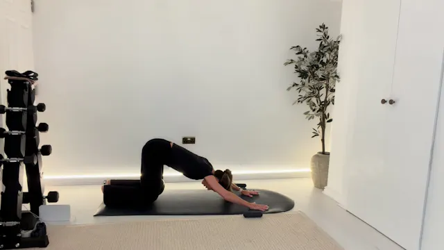 NEW 20 min Classic Core with Ball & o...