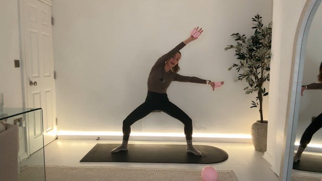 20 min Low impact core class with ank...