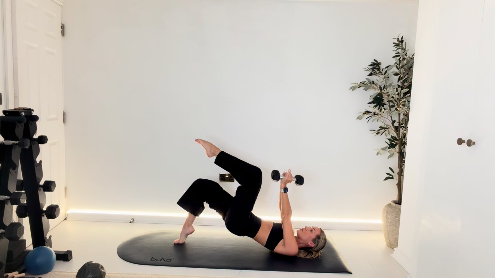 NEW 30 min Full Body Class with Hand Weights & Ball