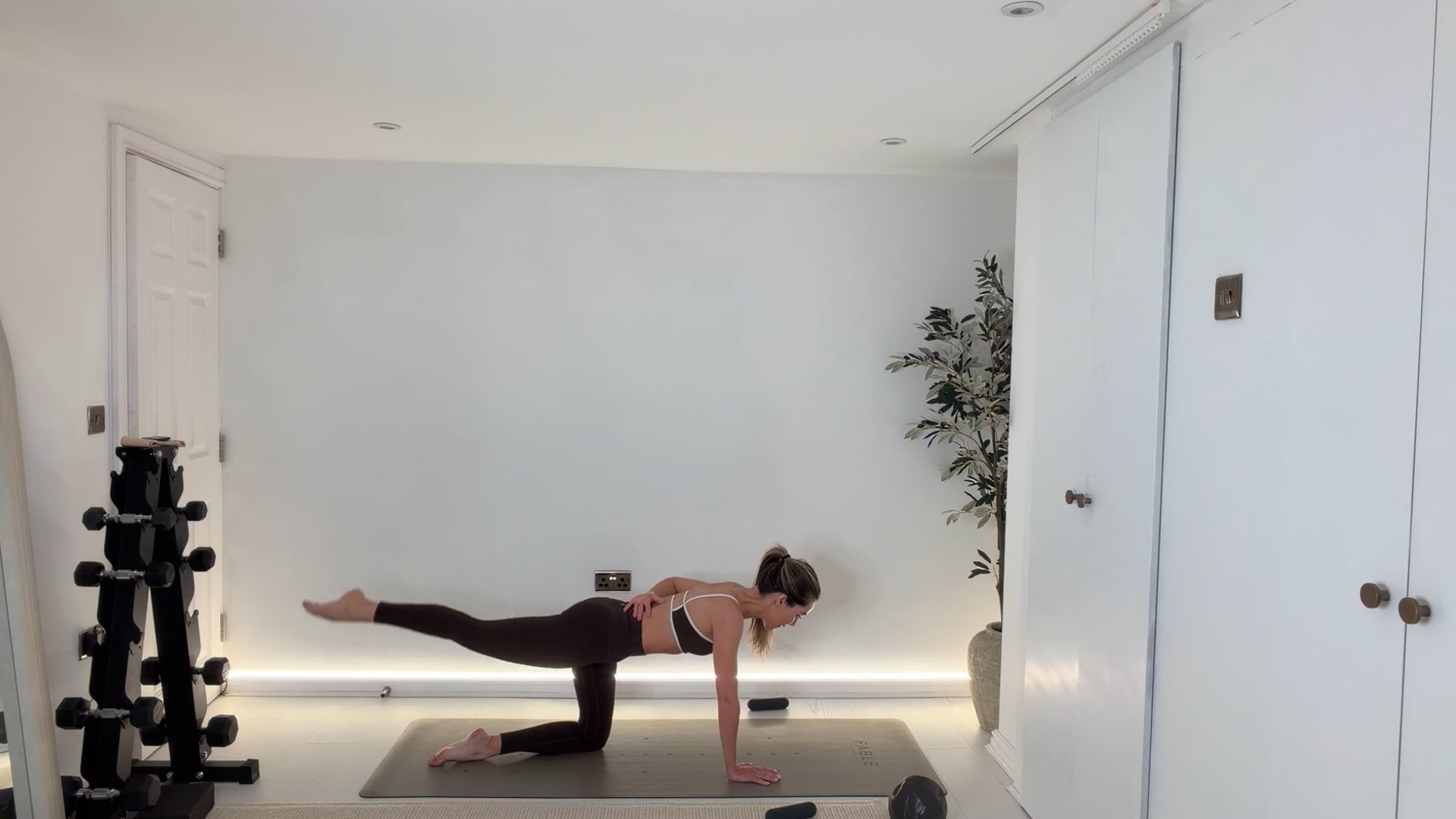 NEW 20 min Strong Upper Body Class with Hand Weights & Ball