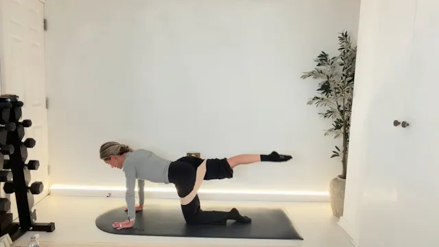 NEW 20 min Core, Booty & Legs Side Ly...
