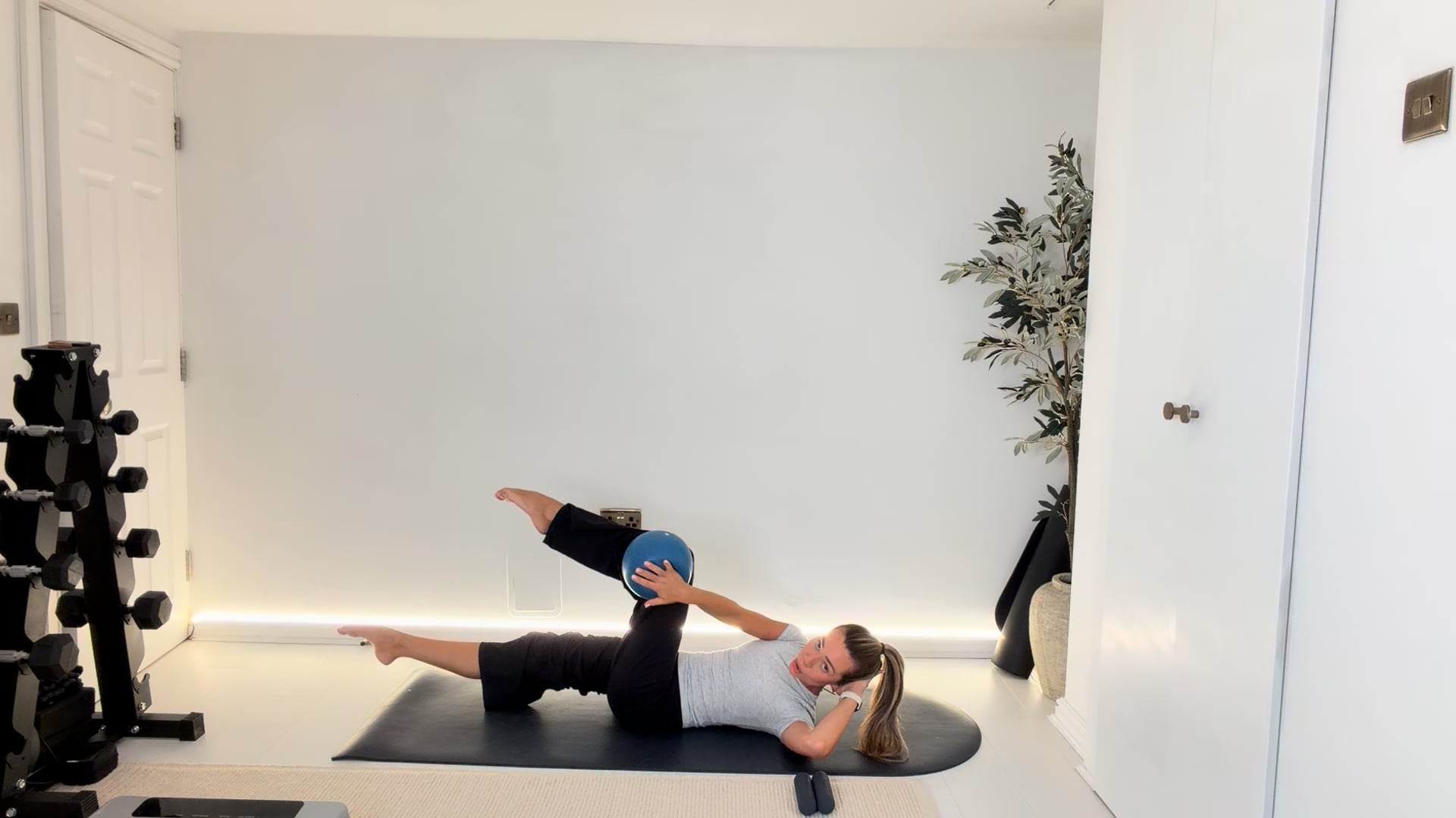 NEW 30 min Classic Full Body Class with hand weights & ball