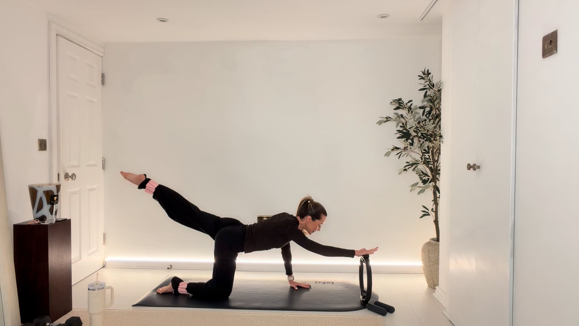 20 min Full Body Tone with ankle weights, ring & hand weights