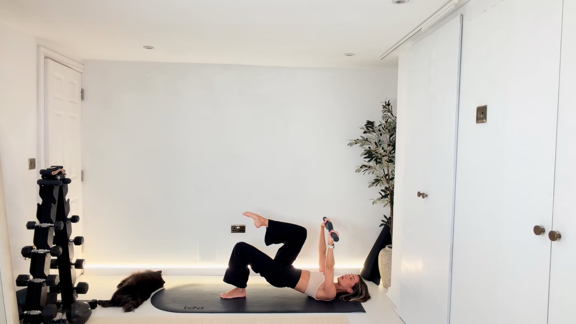 NEW 20 min Upper Body with Weighted Bala Bar (or set of 4kg/heavier weights)