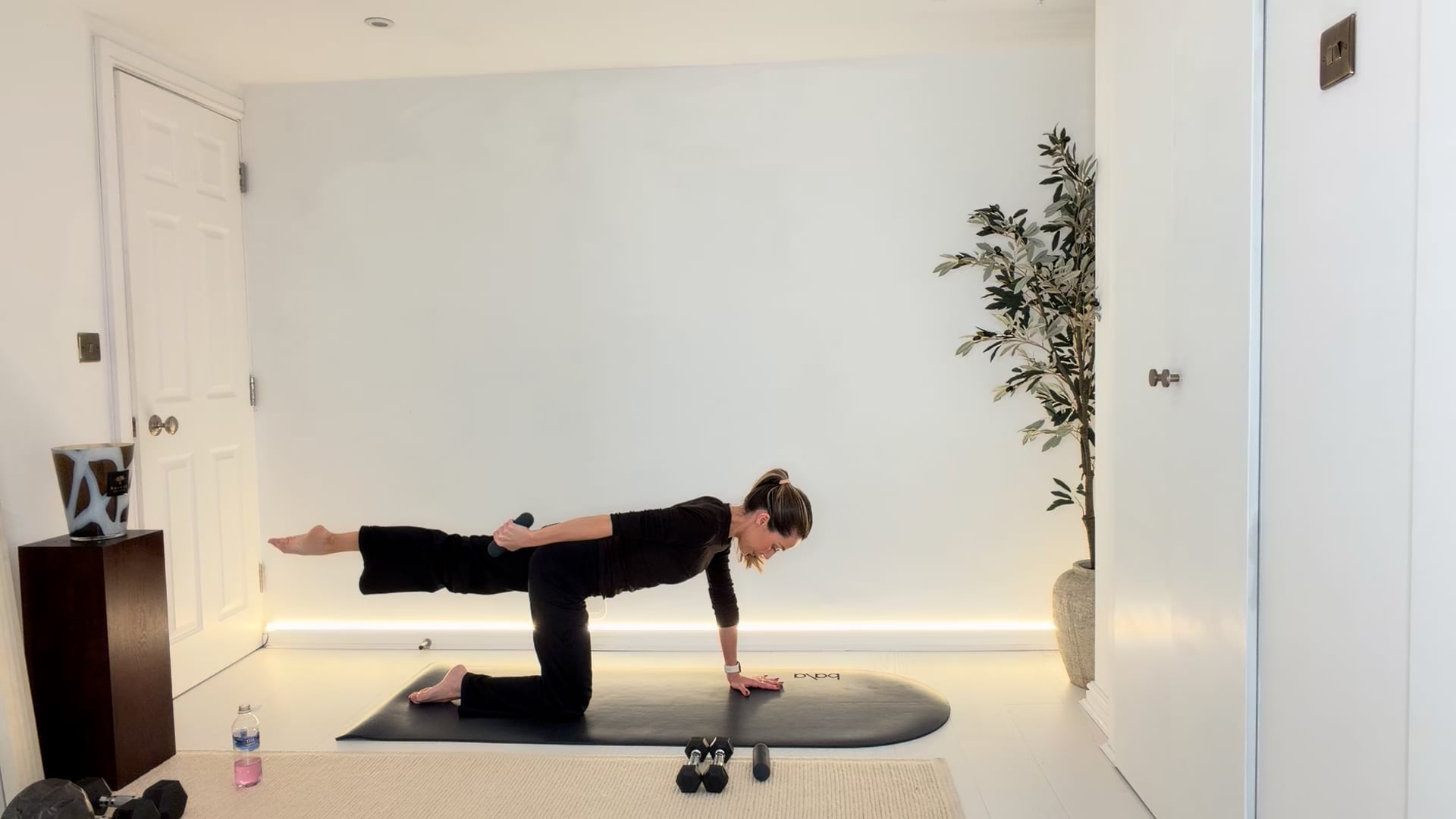 20 min Signature Full Body with the 1/1.5kg Hand Weights