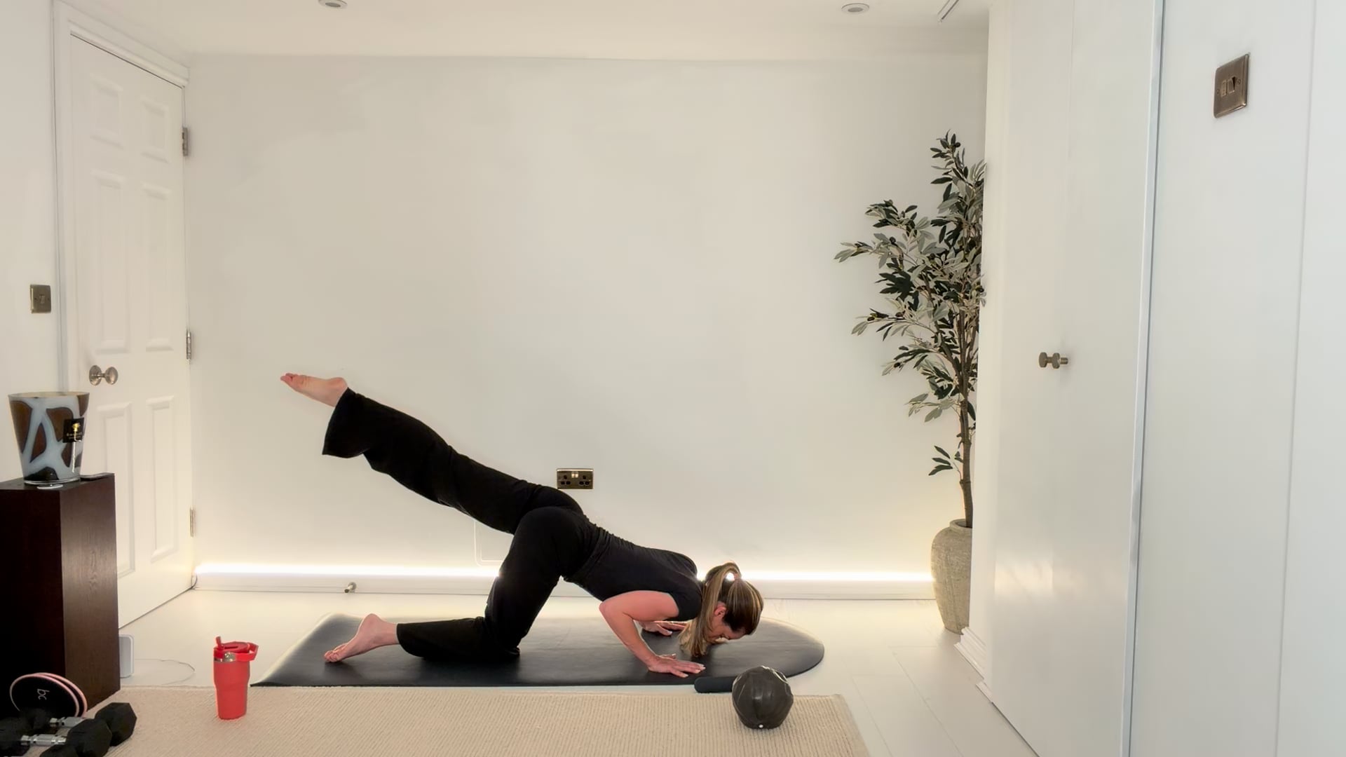 NEW 25 mins Strong defined core & sculpted arms