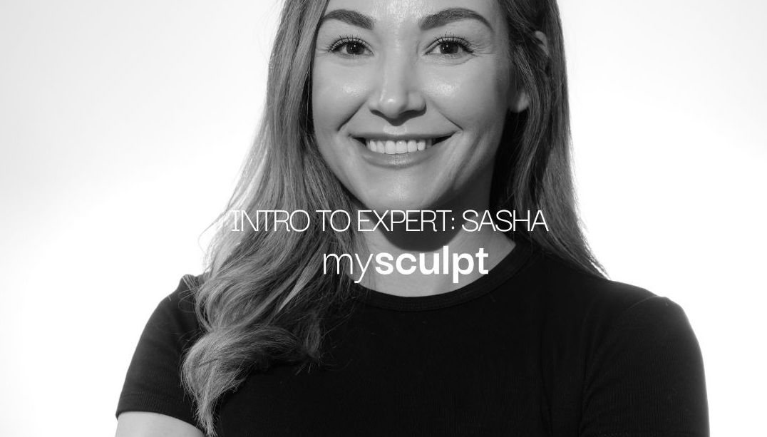 MySculpt Introduction