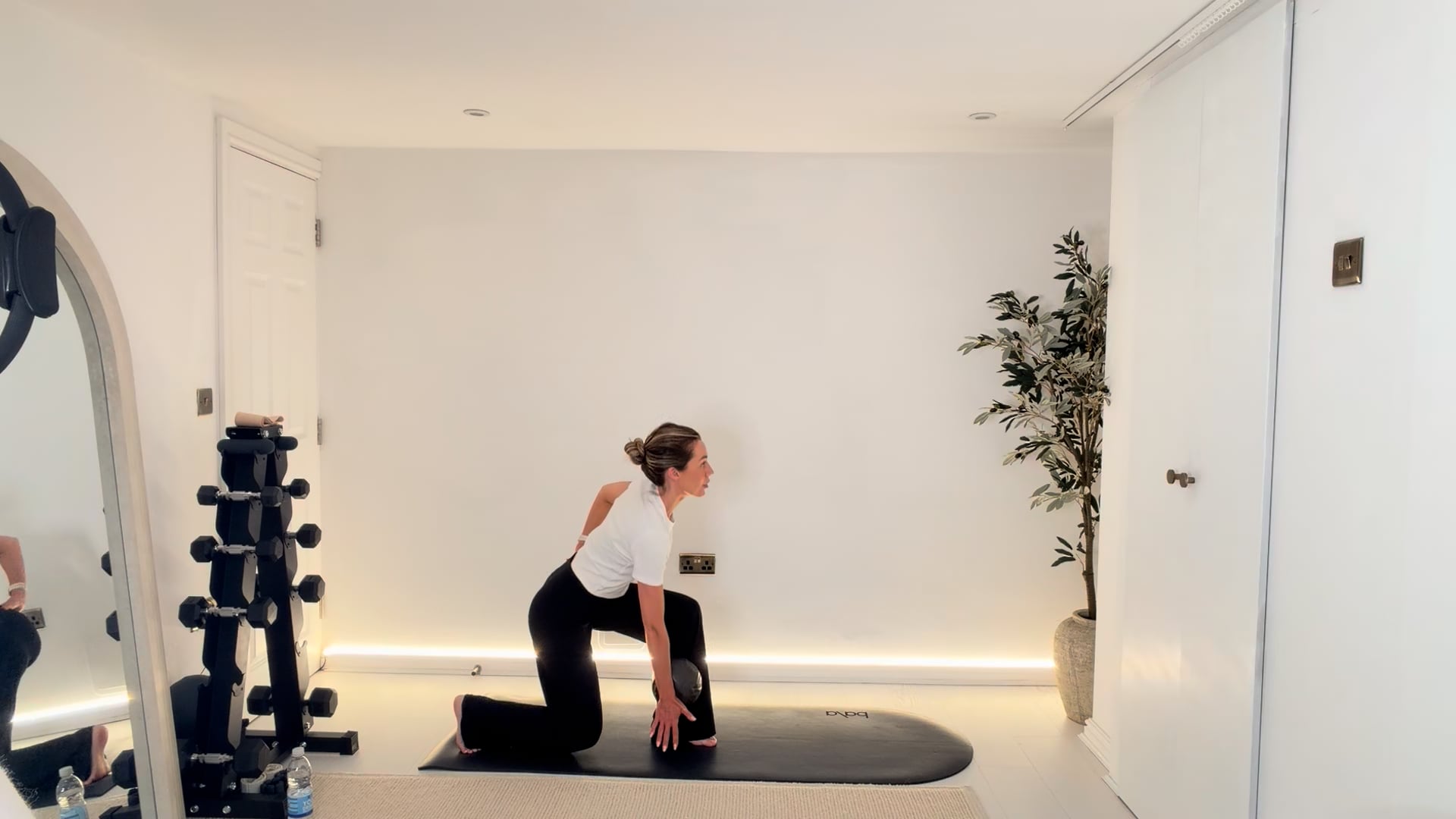 20 min Anywhere Classic Full Body Class with the Ball